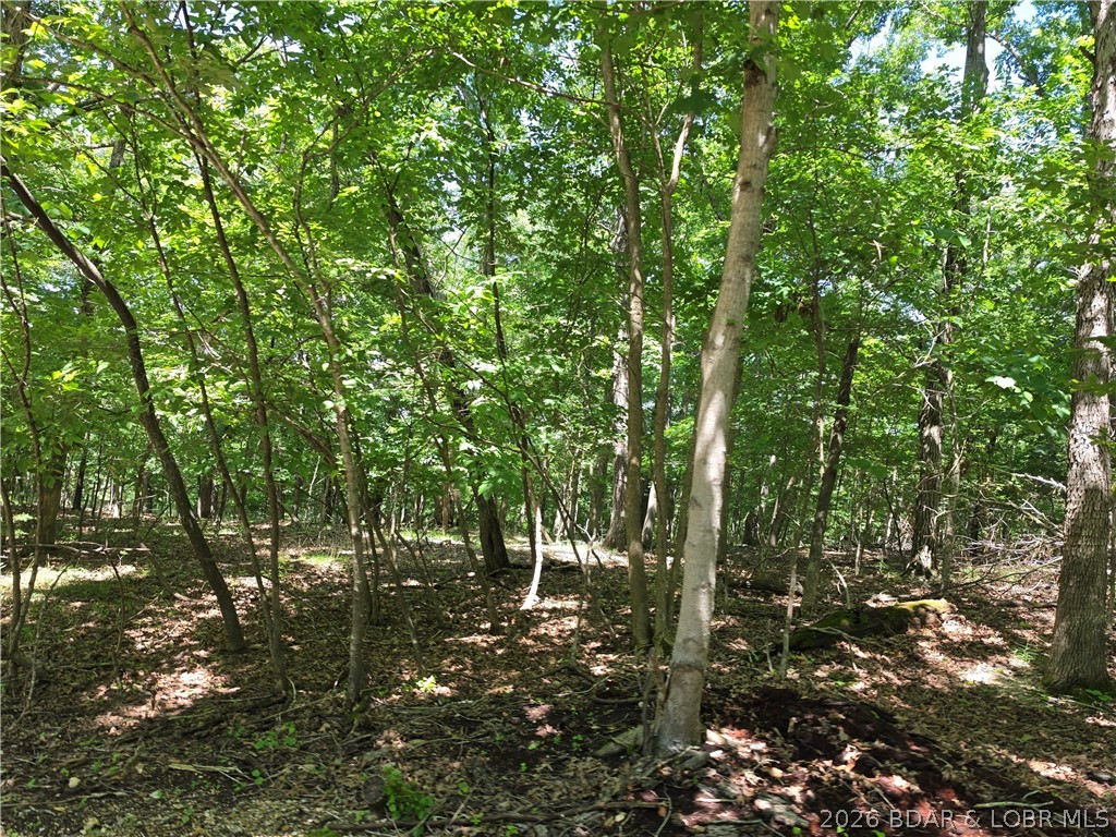 Shady Springs - Land