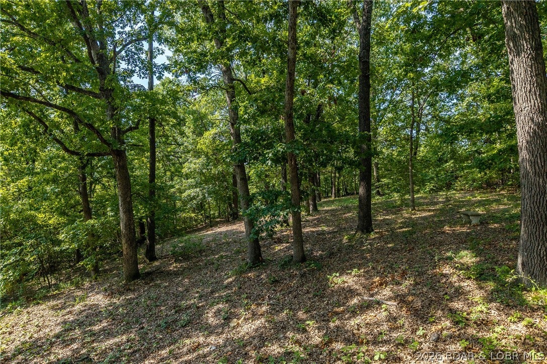 Hazelwood Hills - Land