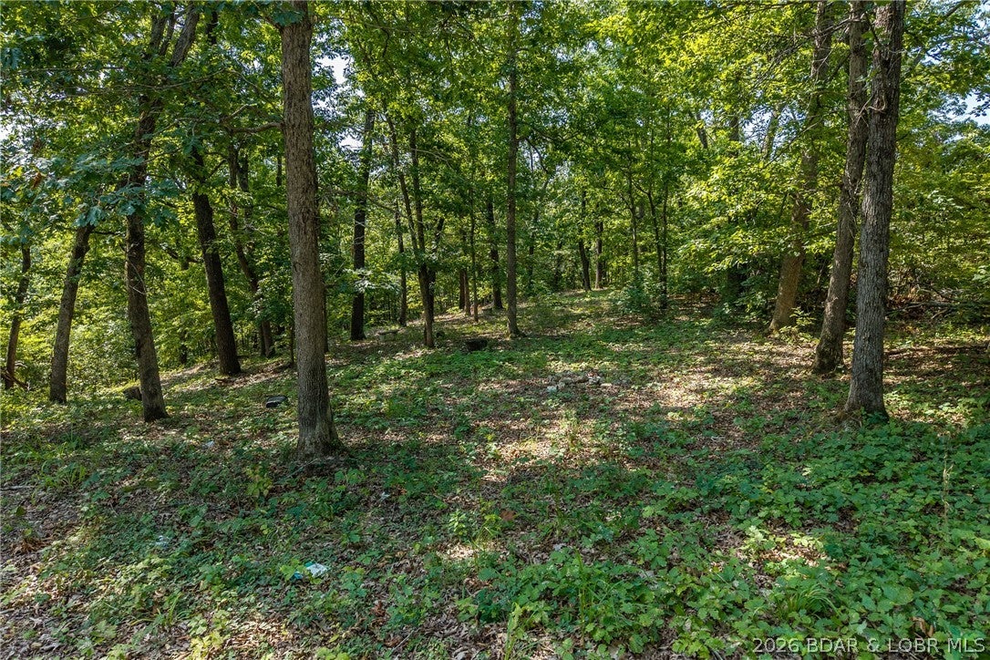 Hazelwood Hills - Land