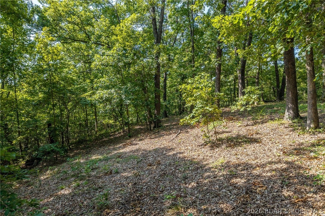 Hazelwood Hills - Land