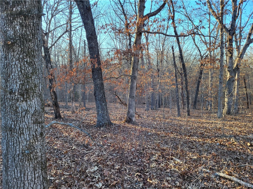 2.6 wooded acres in the gated Forbes Lake of the Ozarks Park community—ideal for your dream home or weekend retreat. Enjoy privacy, abundant wildlife, and top-notch amenities including interior lakes, boat ramps to Lake of the Ozarks, day docks, tennis courts, RV park, and more. Peaceful Ozark living just 30 minutes from Warsaw.