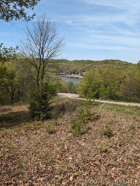 Build your dream home on this stunning .70 acre lot nestled in a beautifully maintained subdivision. Enjoy incredible views in a peaceful, park-like setting with paved roads and access to water and sewer hookups. This property includes a boat slip in a covered dock close-perfect for days of fishing, swimming, and relaxing on the water. Surrounded by abundant wildlife, including deer and turkey, this lot offers the ideal blend of nature and comfort. Located among well-kept attractive homes, it's the perfect place to create your own private retreat.