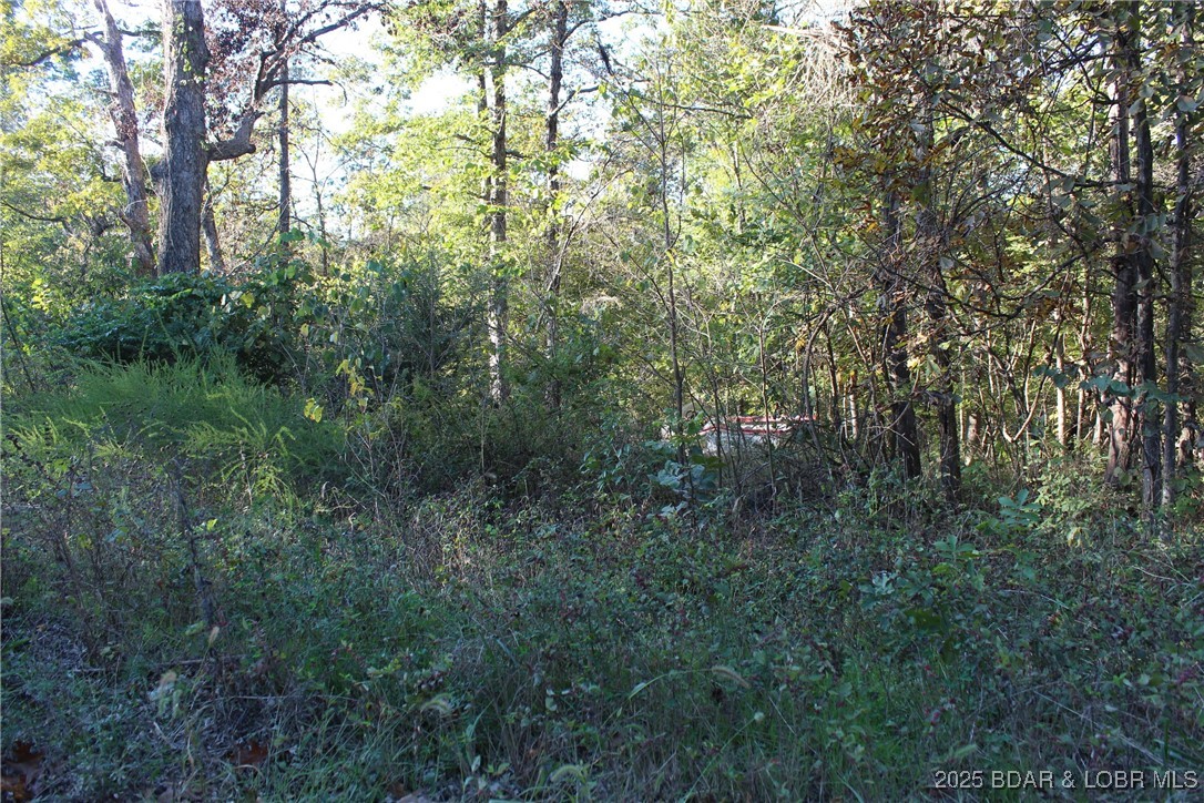 Ivy Bend - Land
