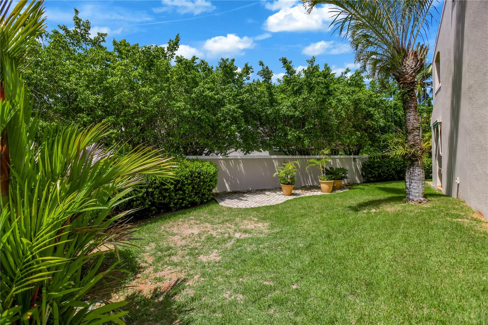 DORADO REEF - Residential