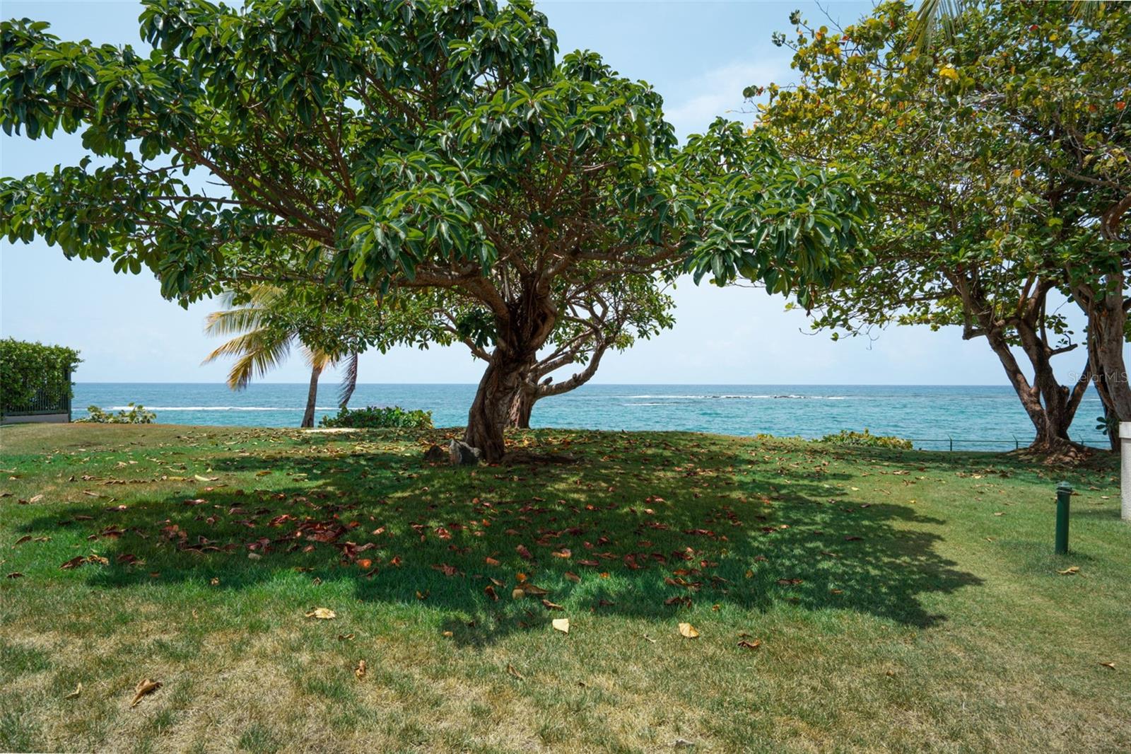 DORADO REEF - Residential