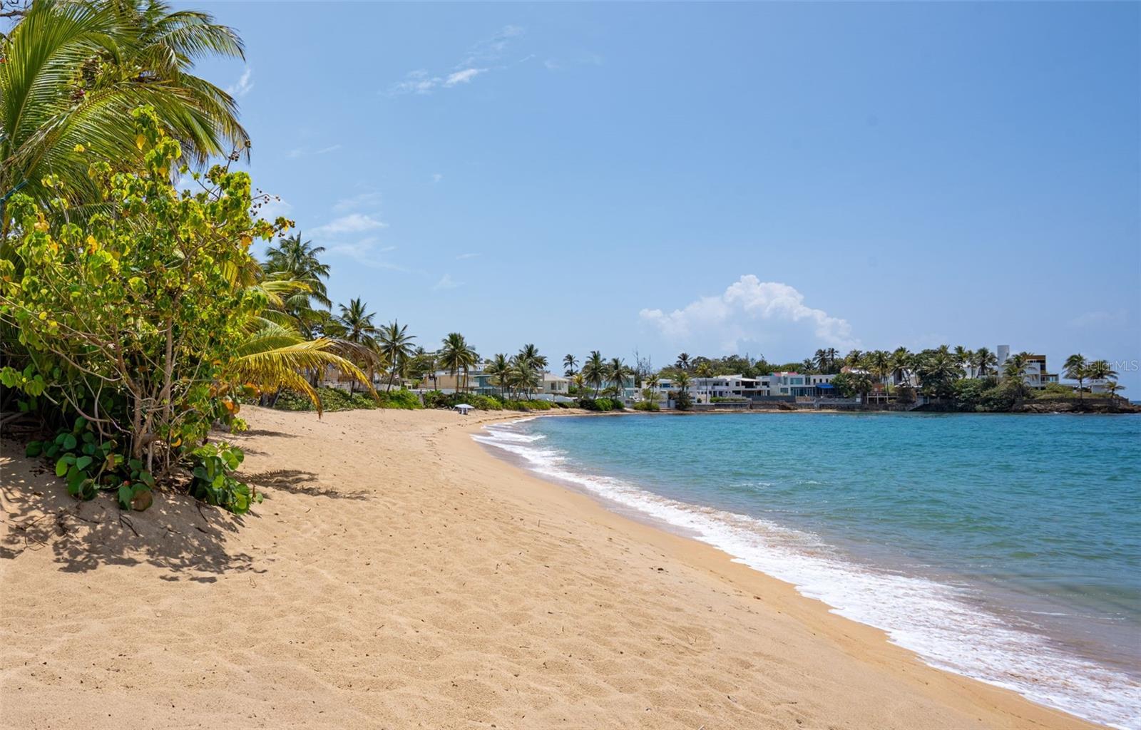 DORADO REEF - Residential