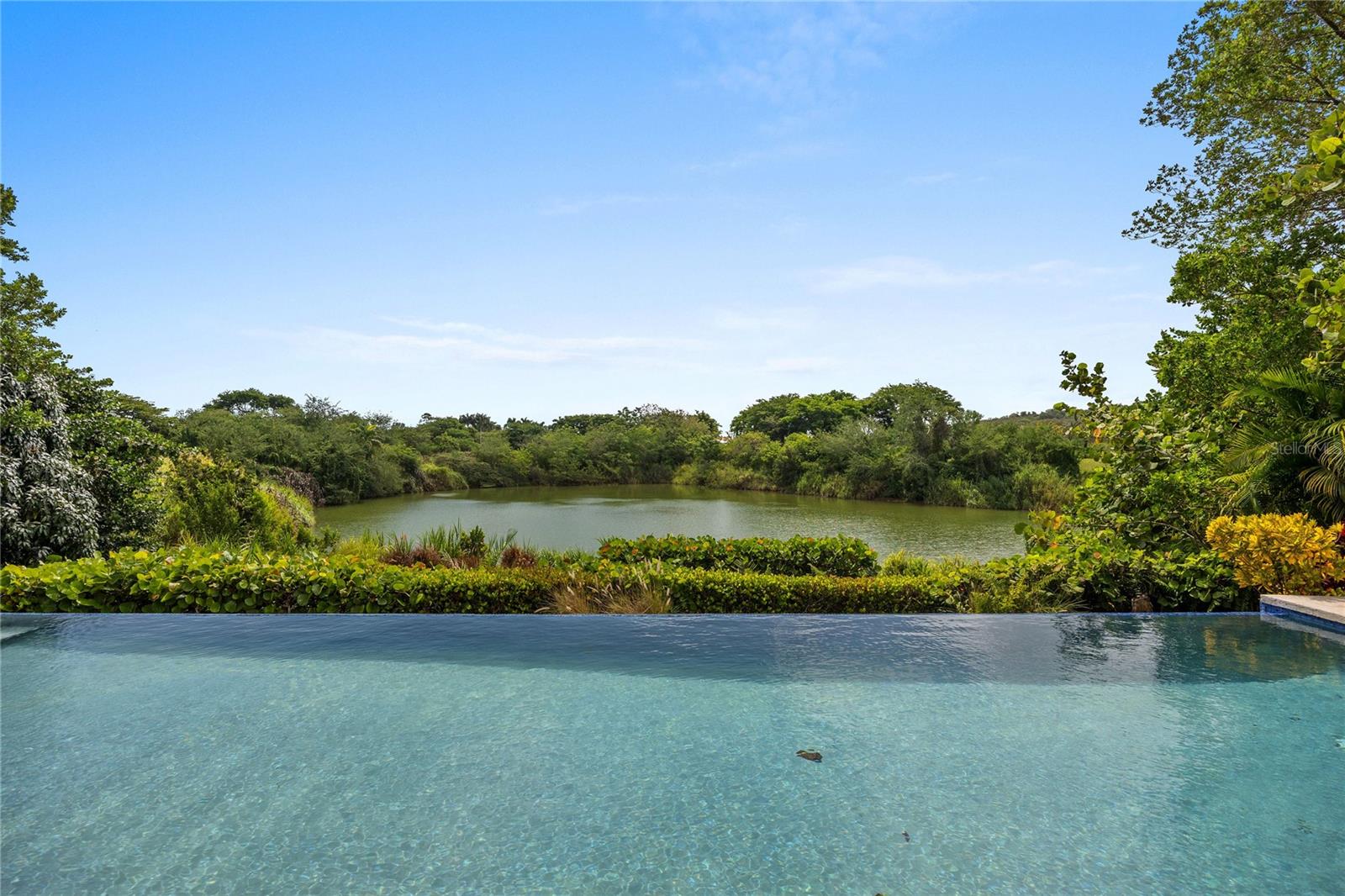 SABANERA DE DORADO - Residential