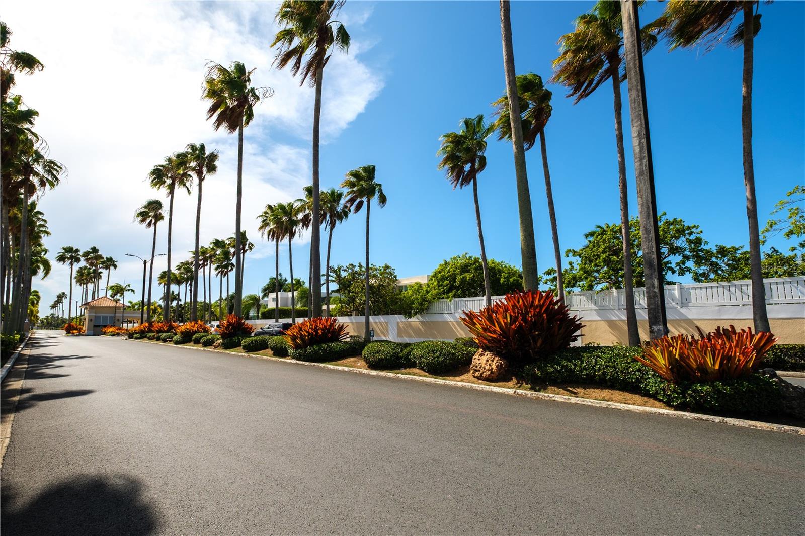 PASEO LOS CORALES II - Residential