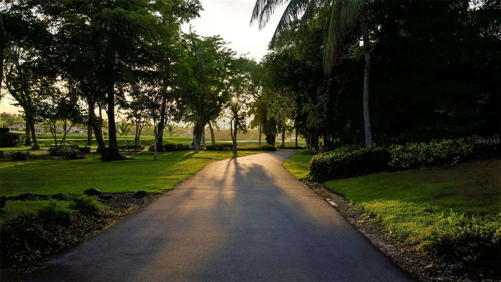 WEST BEACH RESIDENCES AT DORADO BEACH - Residential