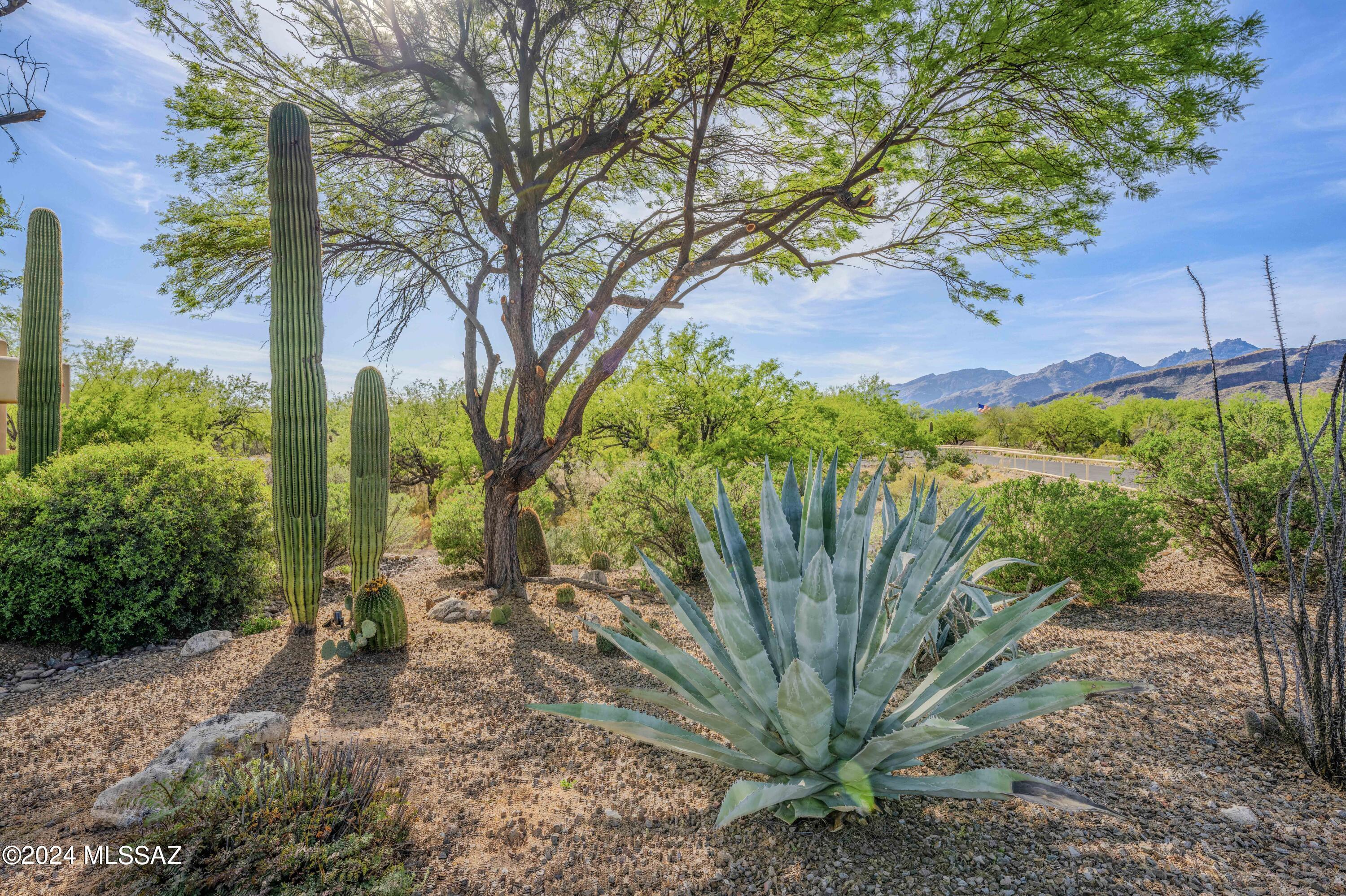 Snyder Canyon Estates (1-20) - Residential