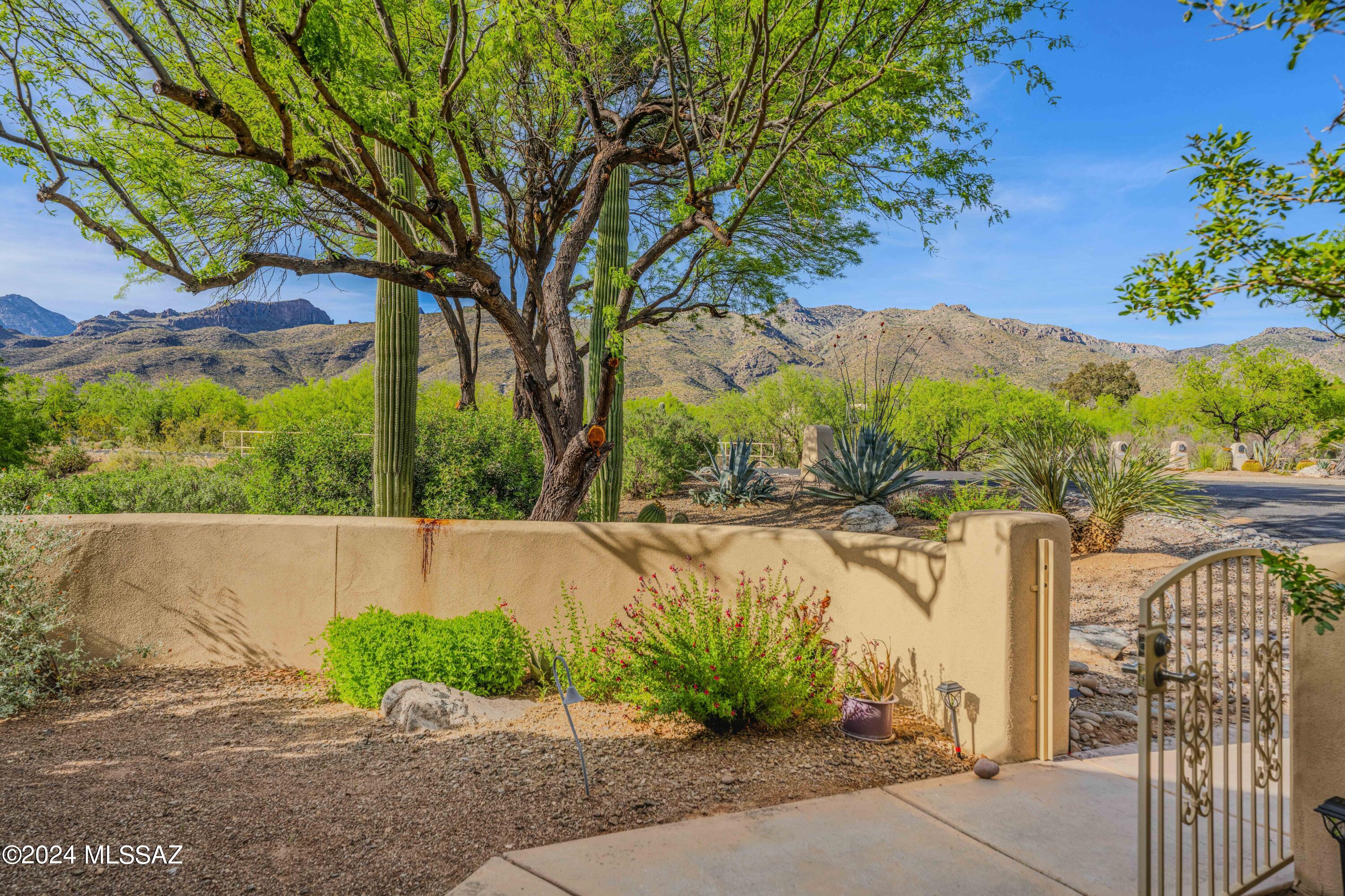 Snyder Canyon Estates (1-20) - Residential