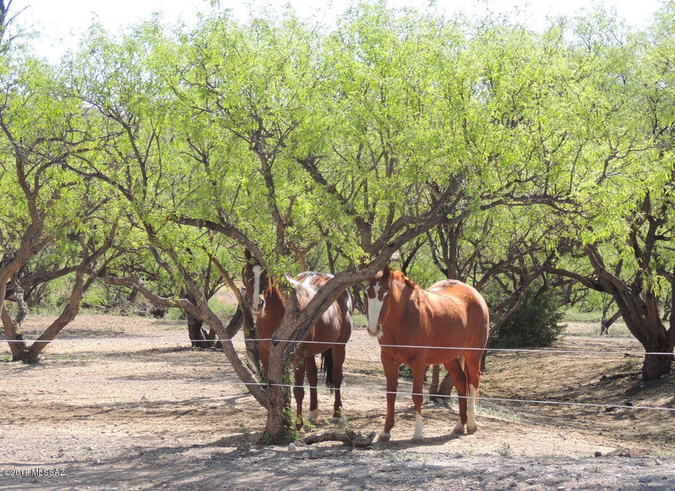 Crown C Ranch - Residential