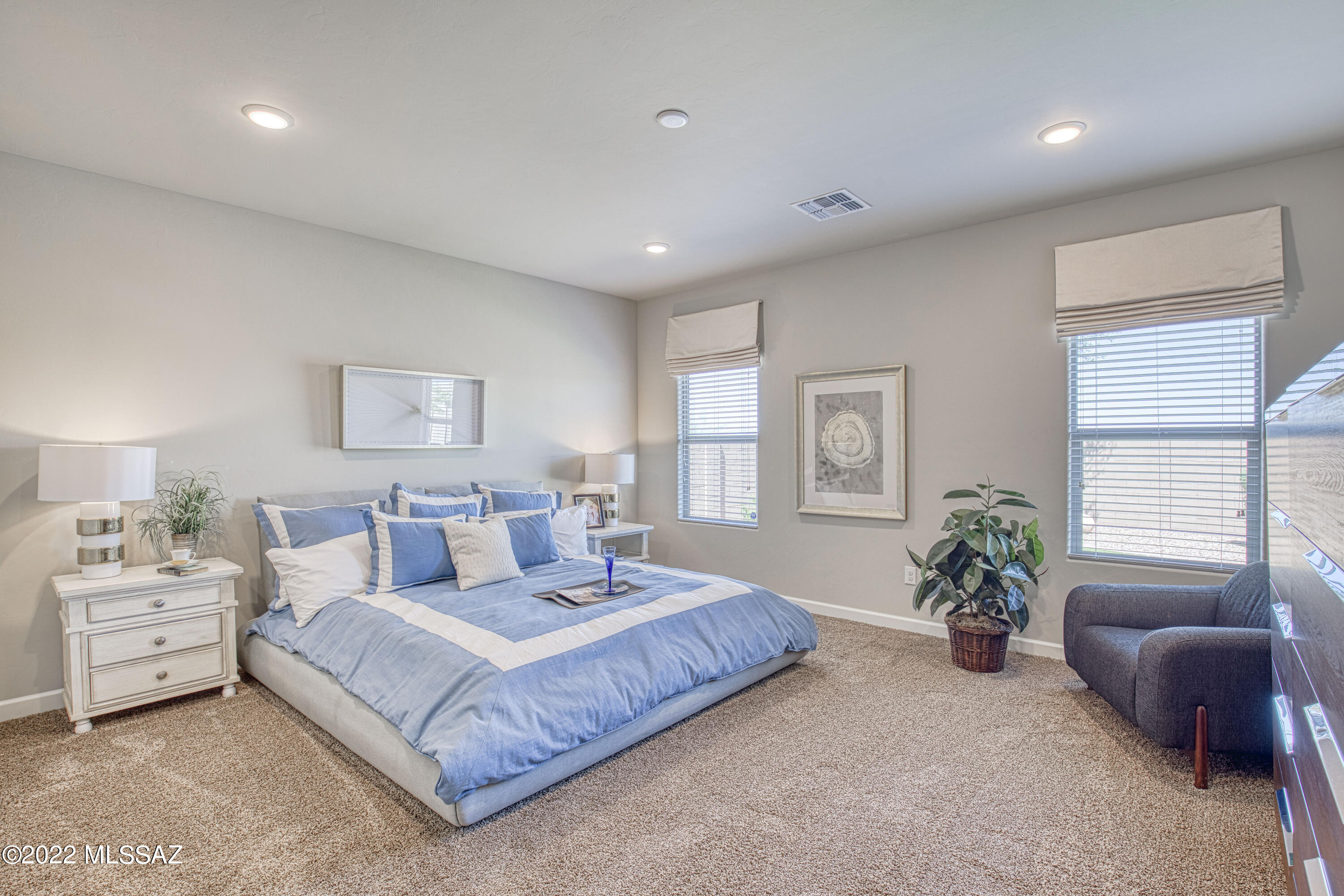 Saguaro Bloom 7A - Residential