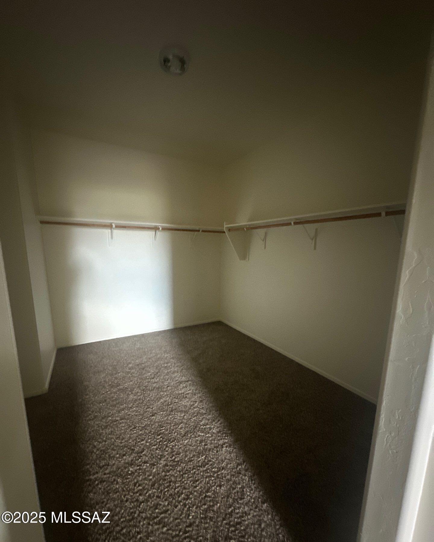 Saguaro Bloom SQ20180540069 - Residential