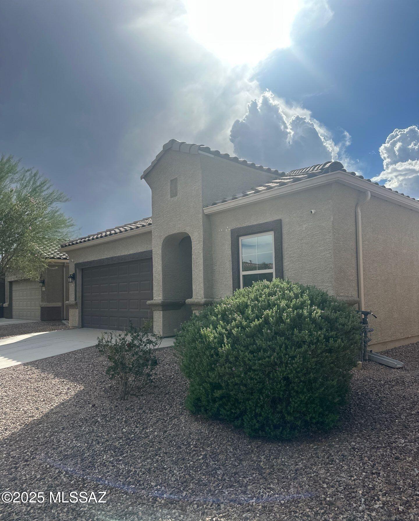 Saguaro Bloom SQ20180540069 - Residential