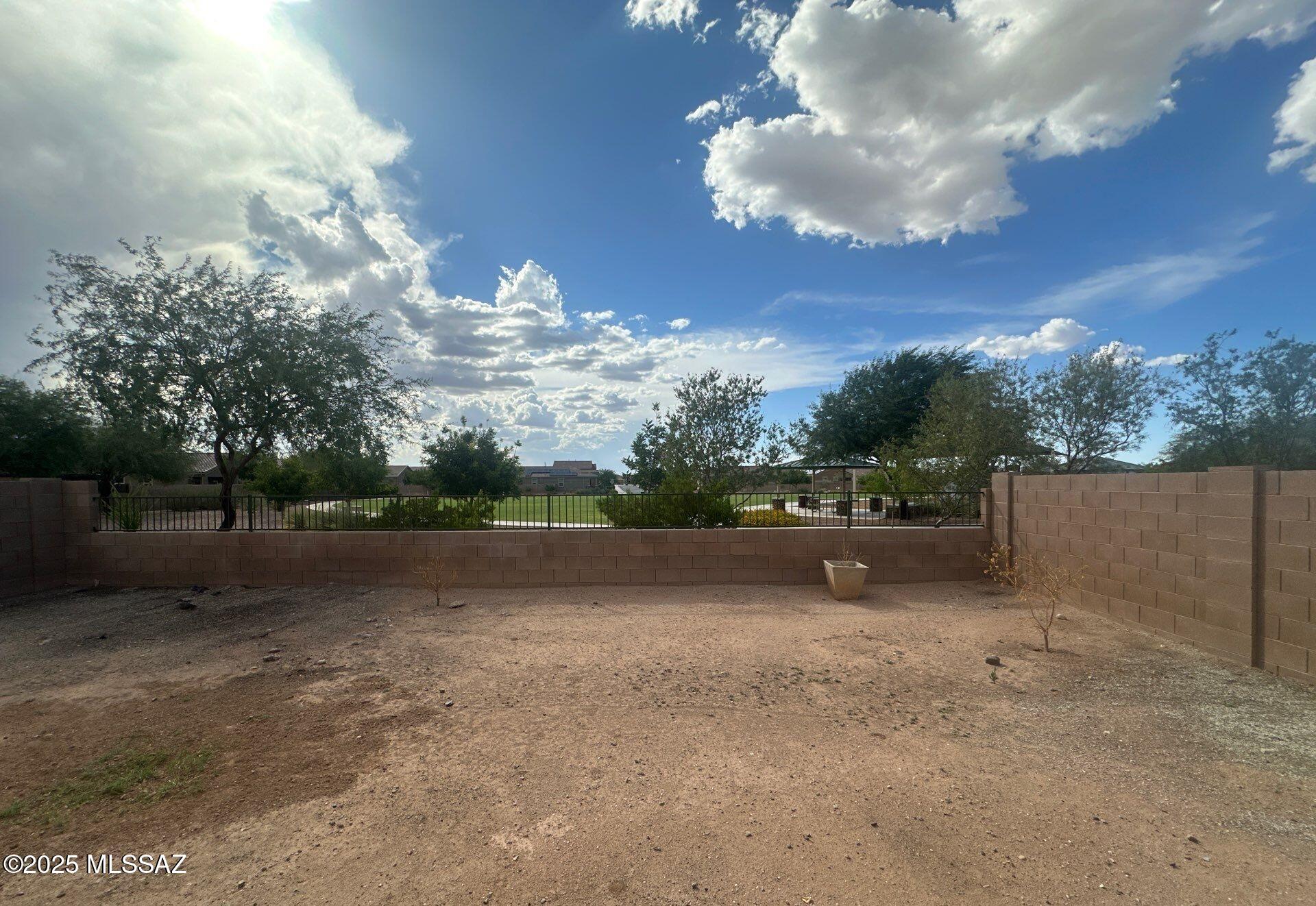 Saguaro Bloom SQ20180540069 - Residential