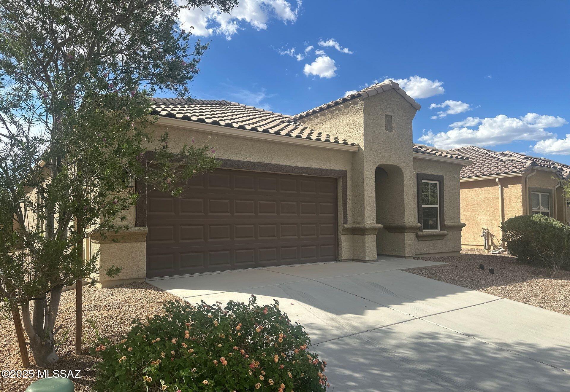Saguaro Bloom SQ20180540069 - Residential