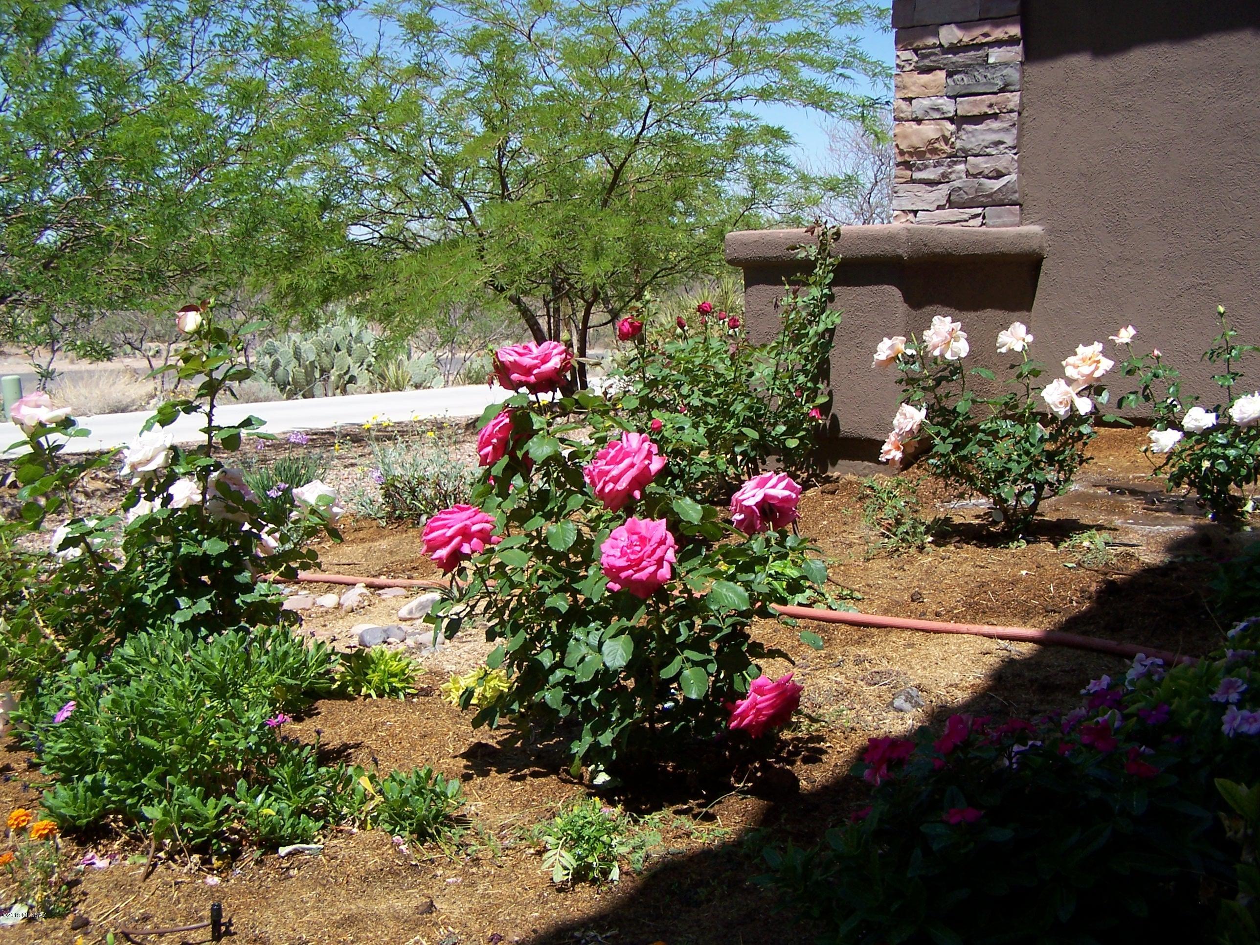 Coyote Creek (1-395) - Residential