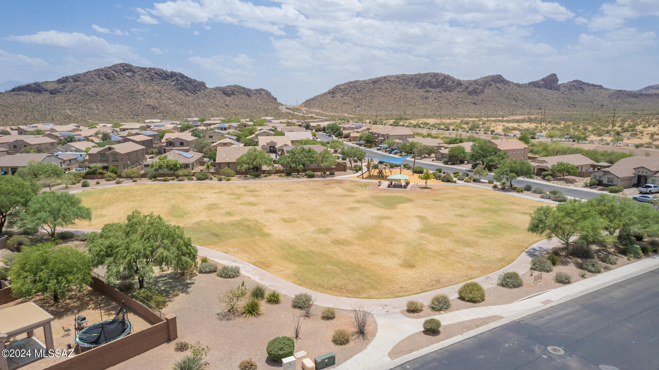 Saguaro Bloom 7A - Residential