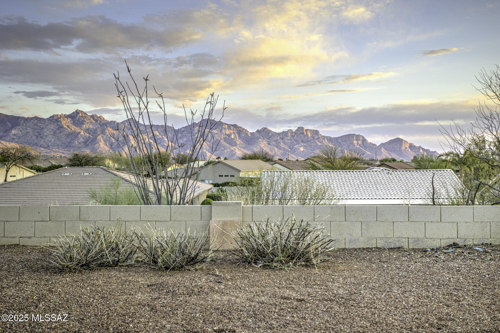 Perched in the heart of SaddleBrooke, this home offers a rare opportunity to create your dream retreat with unobstructed, panoramic views of the majestic Catalina Mountains. The highly desirable DAKOTA floorplan provides a spacious canvas for customization, featuring an open-concept design that invites effortless flow and possibilities for entertaining or relaxing in style.  Sunlight floods the interior, illuminating the generous great room, well-appointed kitchen, and expansive primary suite—all perfectly positioned to take advantage of the awe-inspiring desert backdrop. Whether you're envisioning a modern refresh or simply enhancing the existing charm, this home is brimming with potential.  Step outside to where sweeping mountain vistas and fiery desert sunsets paint a daily masterpiec
