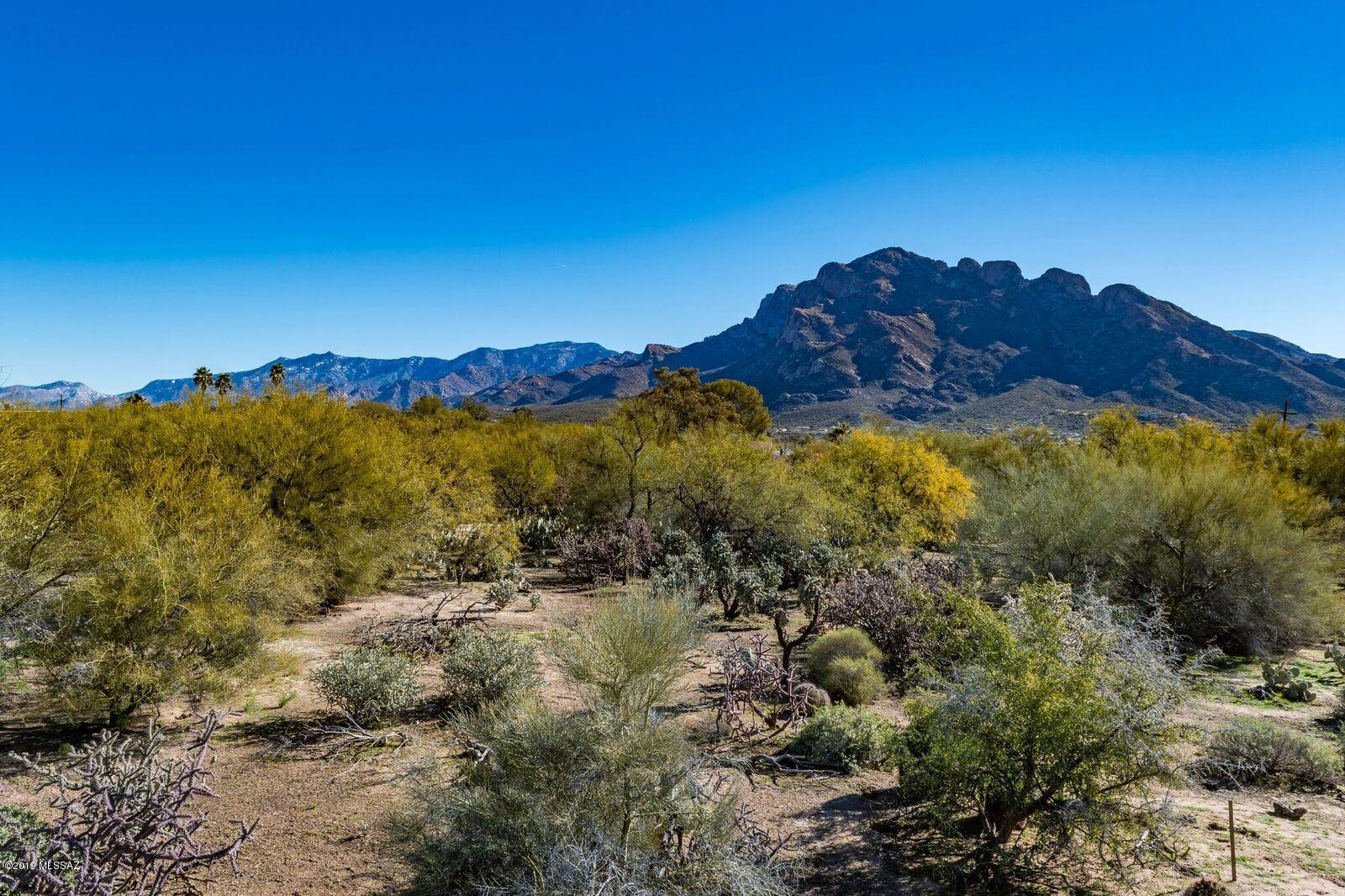 Build your dream home on this flat & buildable lot in the heart of Oro Valley with amazing Pusch Ridge views.  Located in the desirable horse community of Campo Bello, this lot is perfect for a custom home.  All utilities are at the lot line off Hardy Road. Close to shopping, restaurants & much more.  Don't miss out on this rare opportunity to build in Oro Valley!