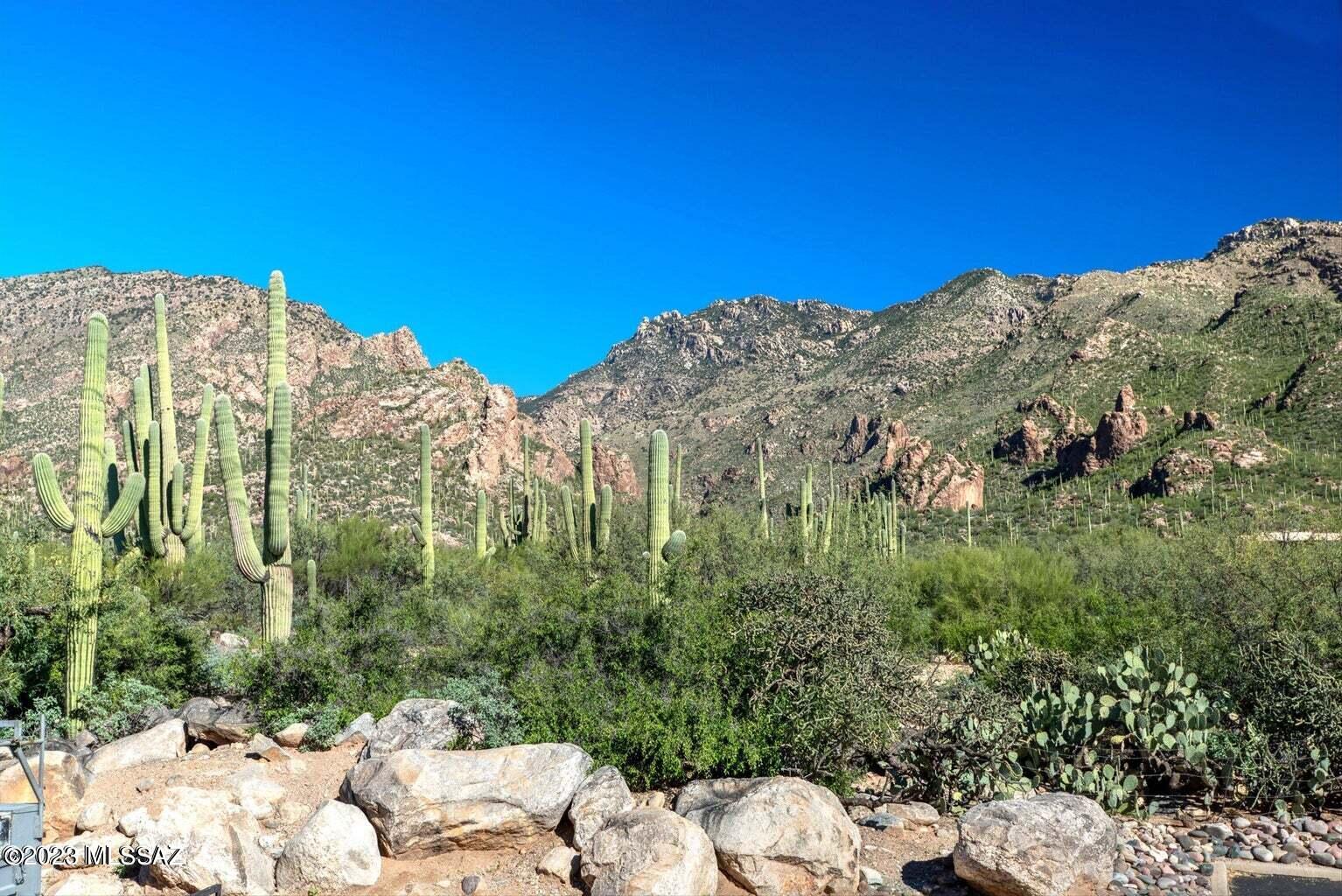 Canyon View At Ventana Condominium (1-264) - Residential Lease