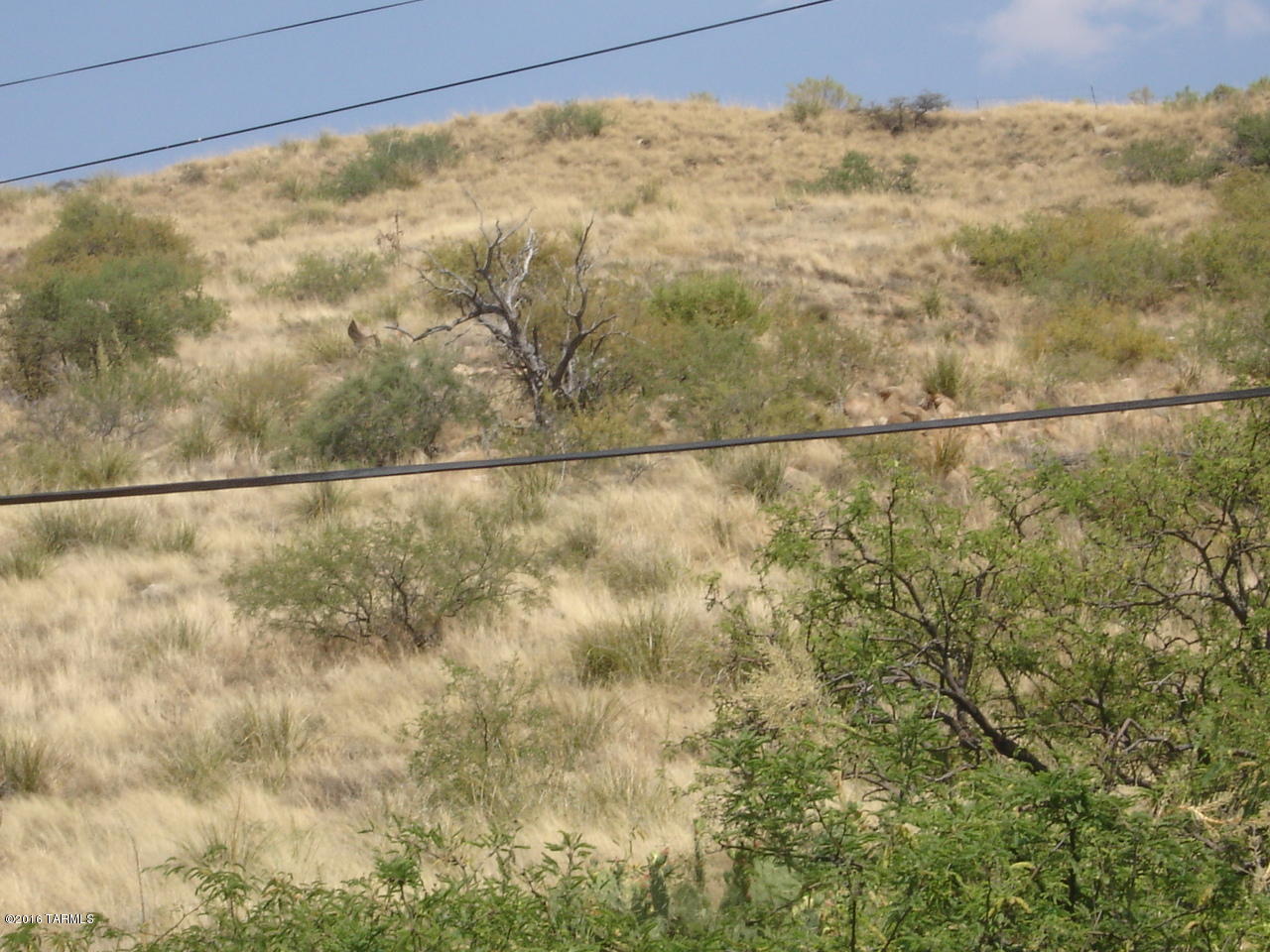 Out Of Pima County - Residential