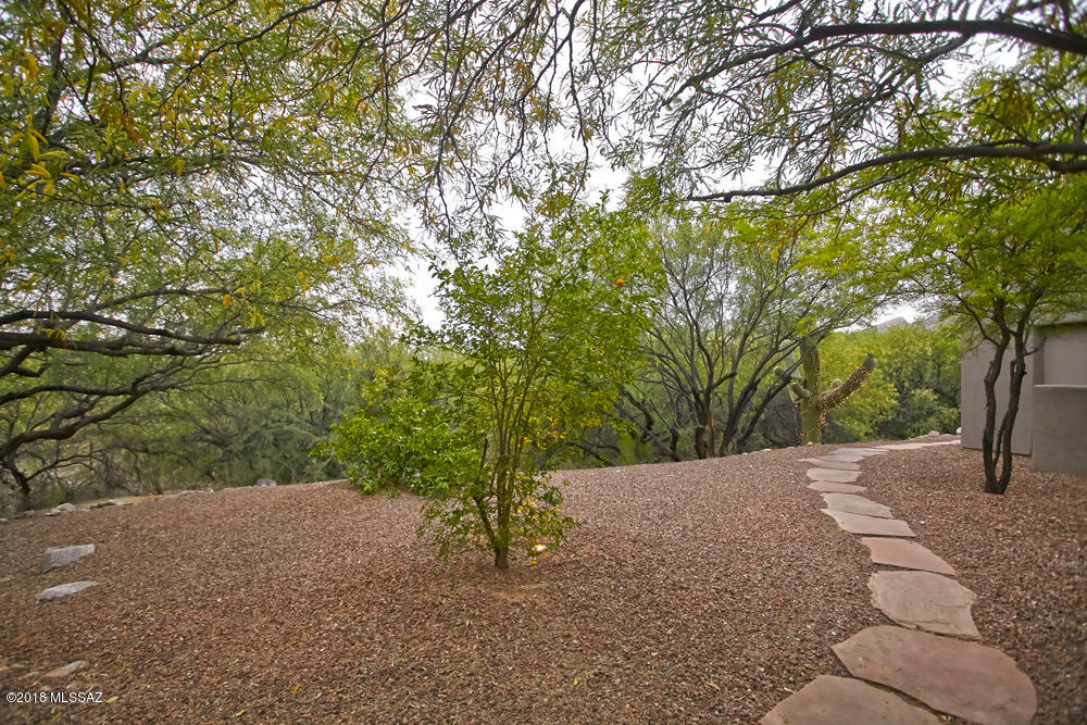 Ventana Canyon Estates (1-63) - Residential