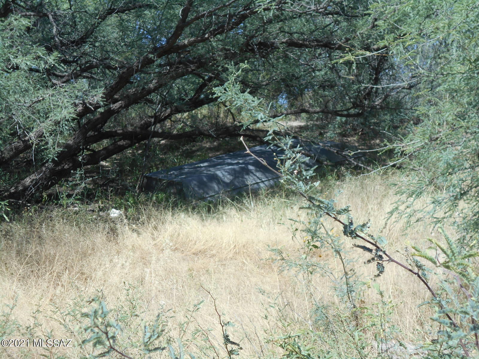 Other/Unknown - Land