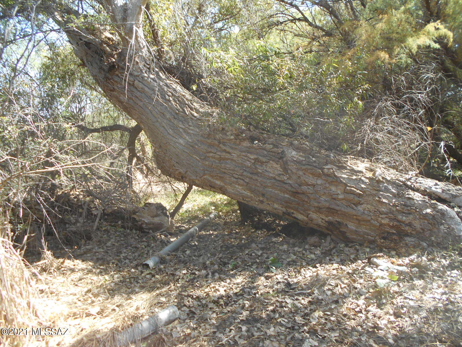 Other/Unknown - Land