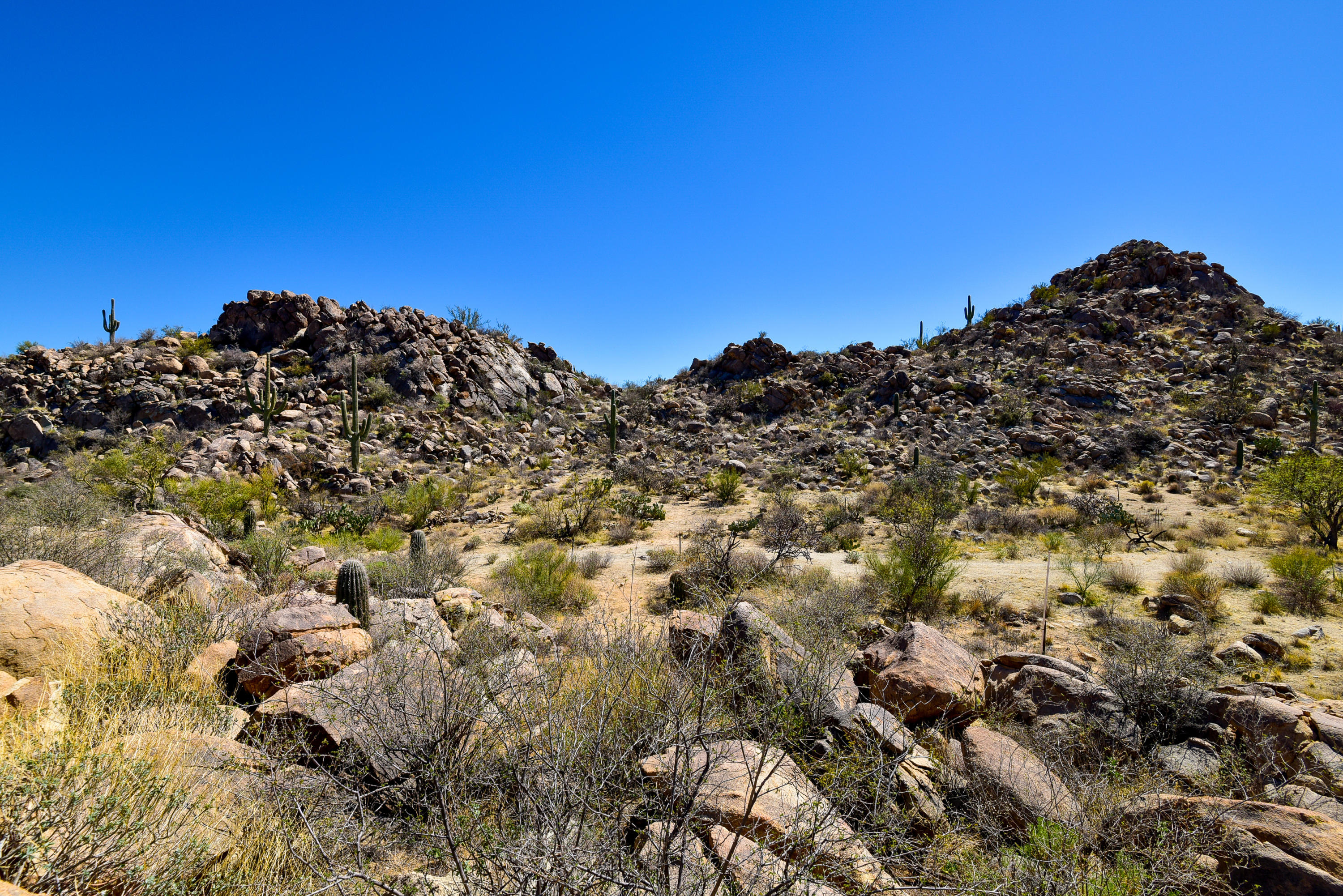 Stone Canyon IV - Land
