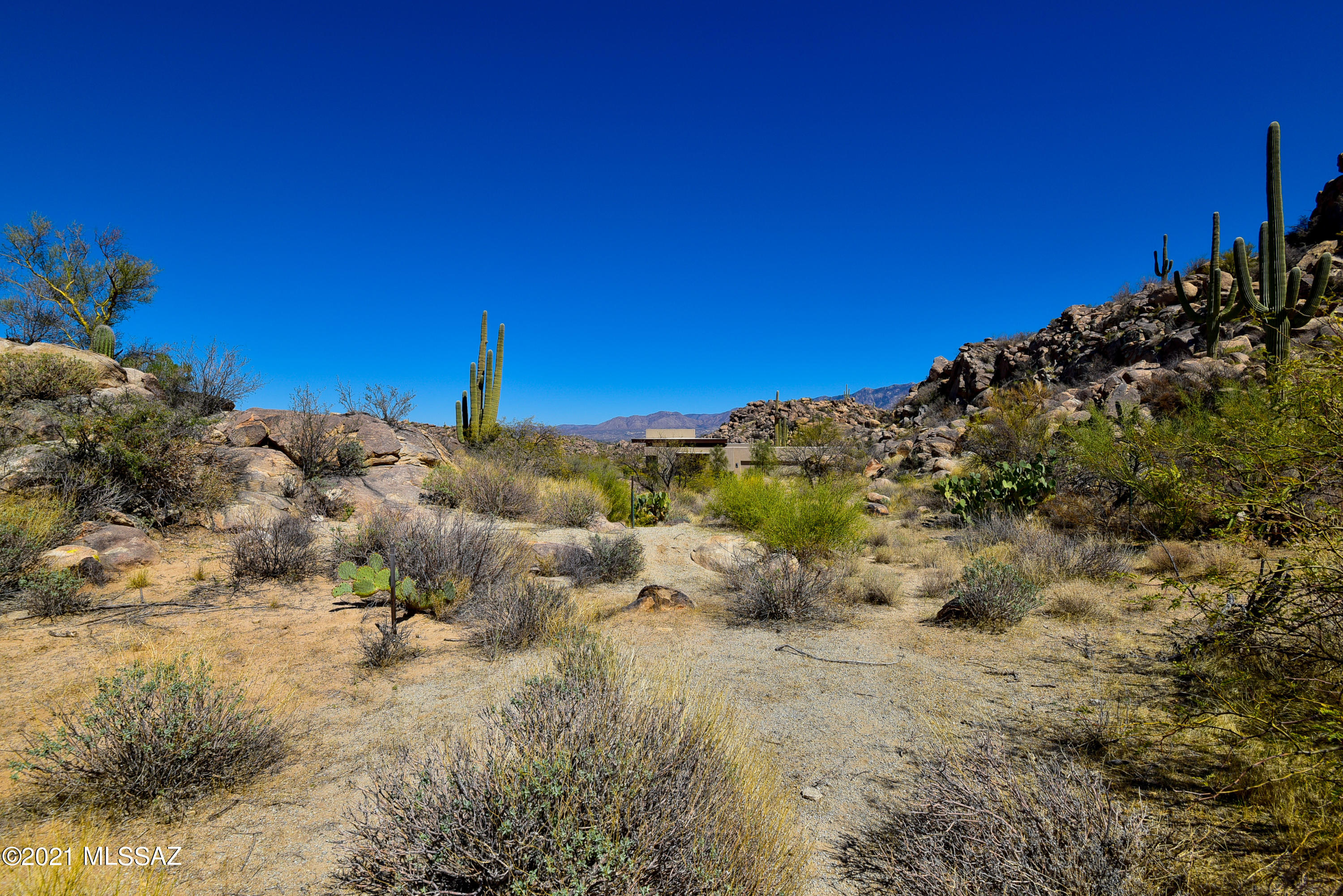 Stone Canyon IV - Land