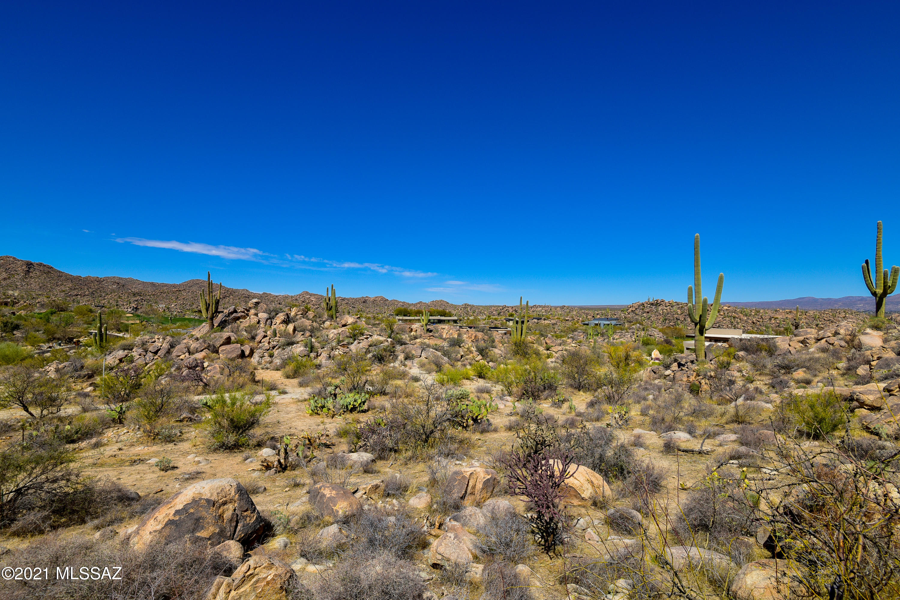 Stone Canyon IV - Land