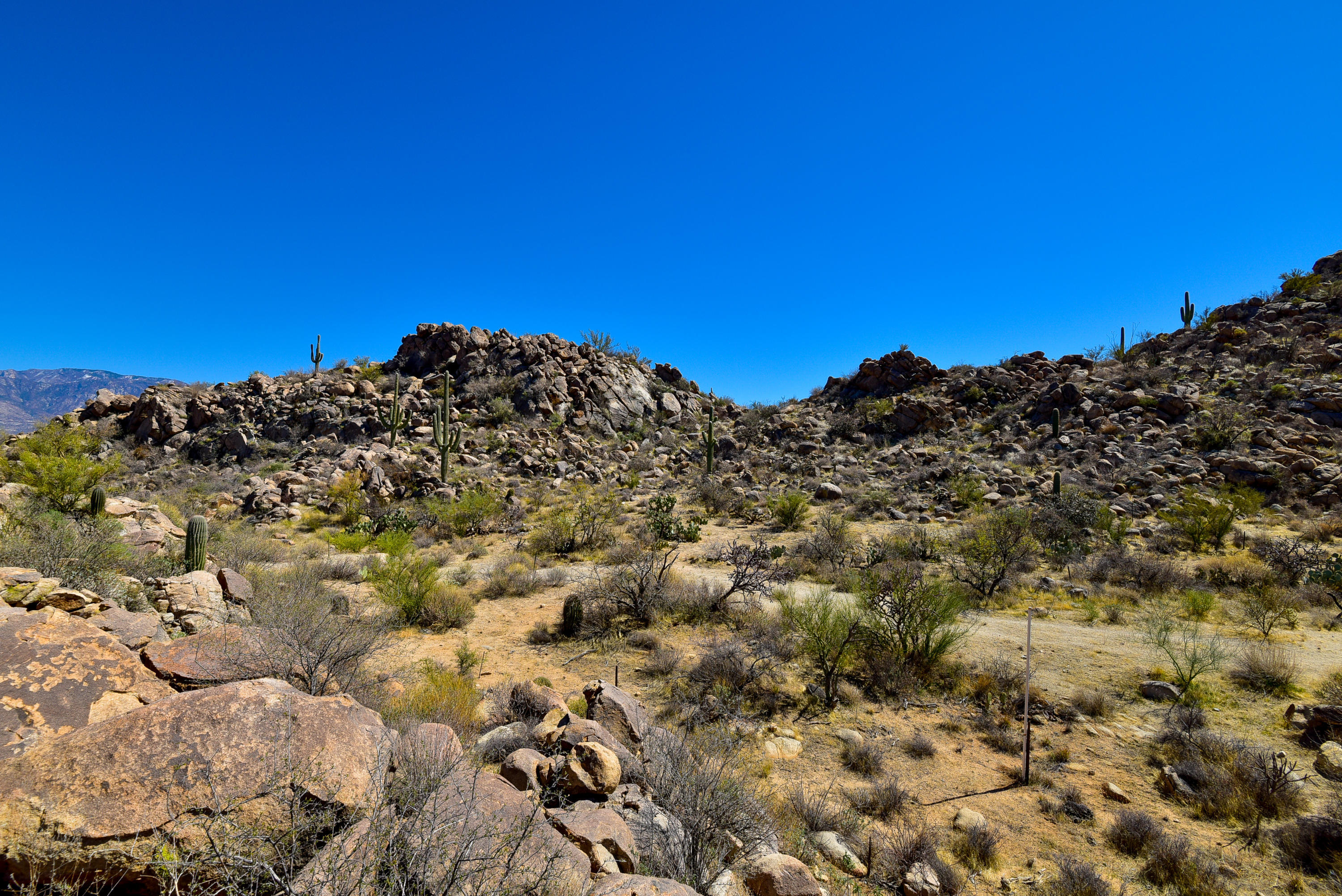 Stone Canyon IV - Land