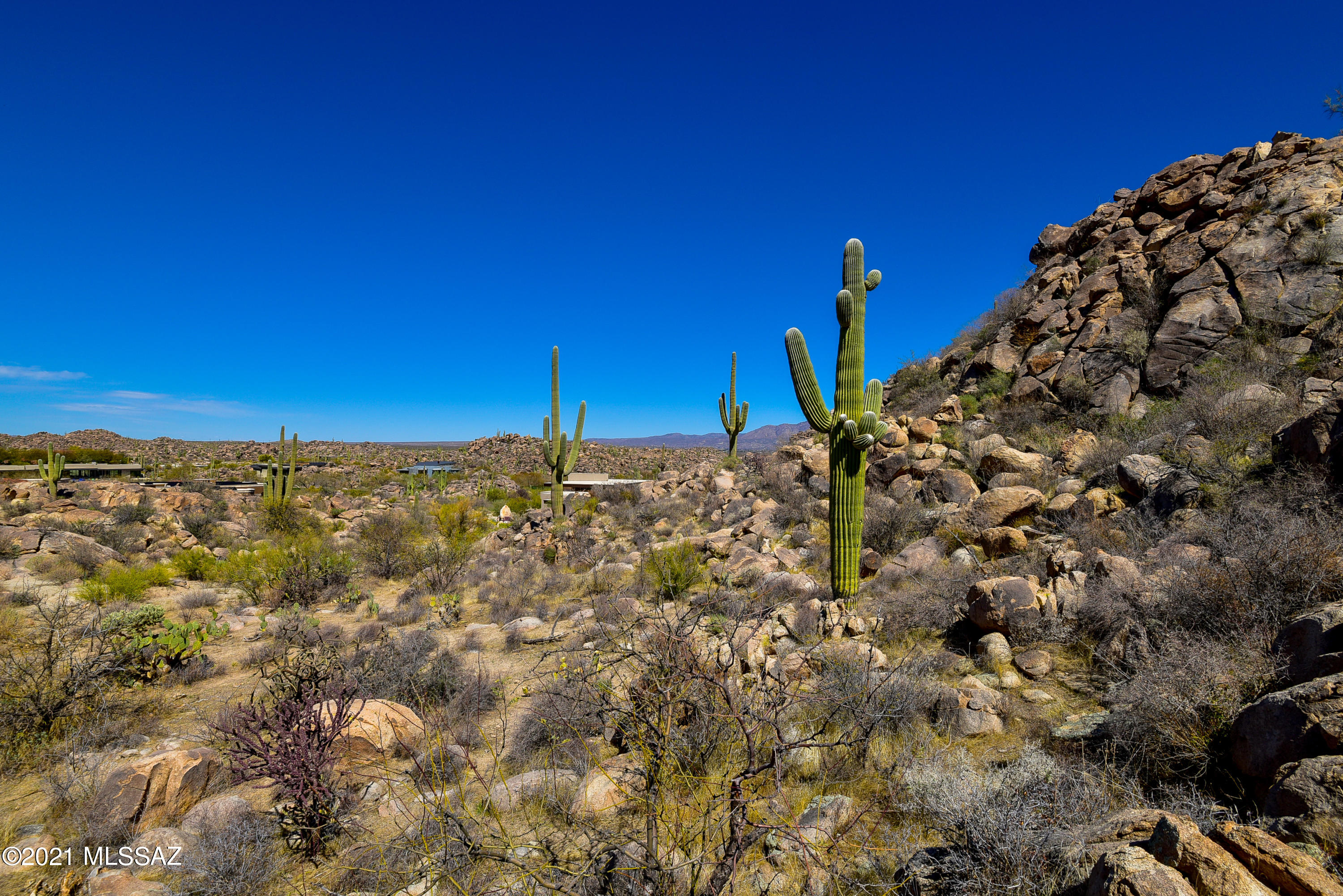 Stone Canyon IV - Land