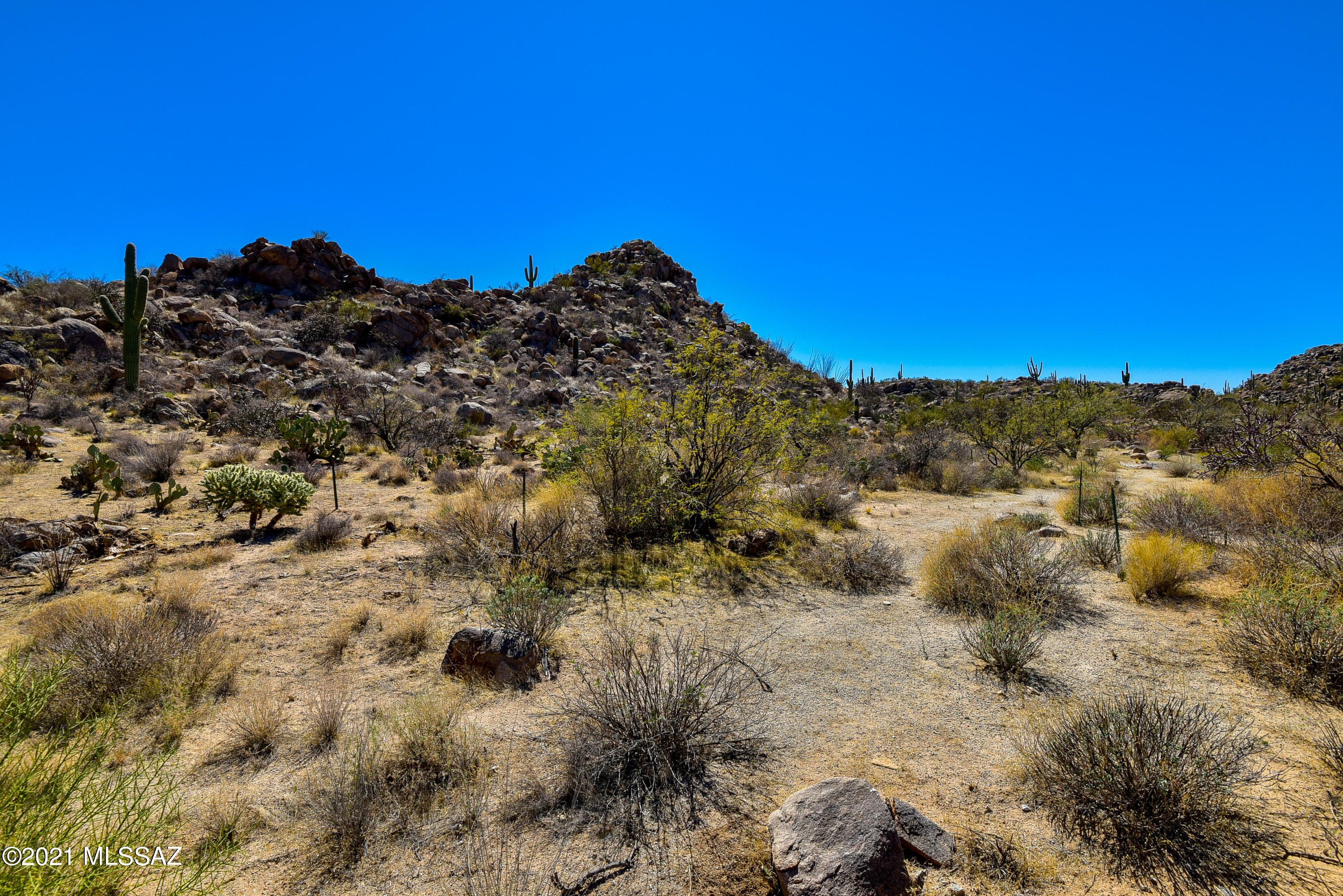 Stone Canyon IV - Land