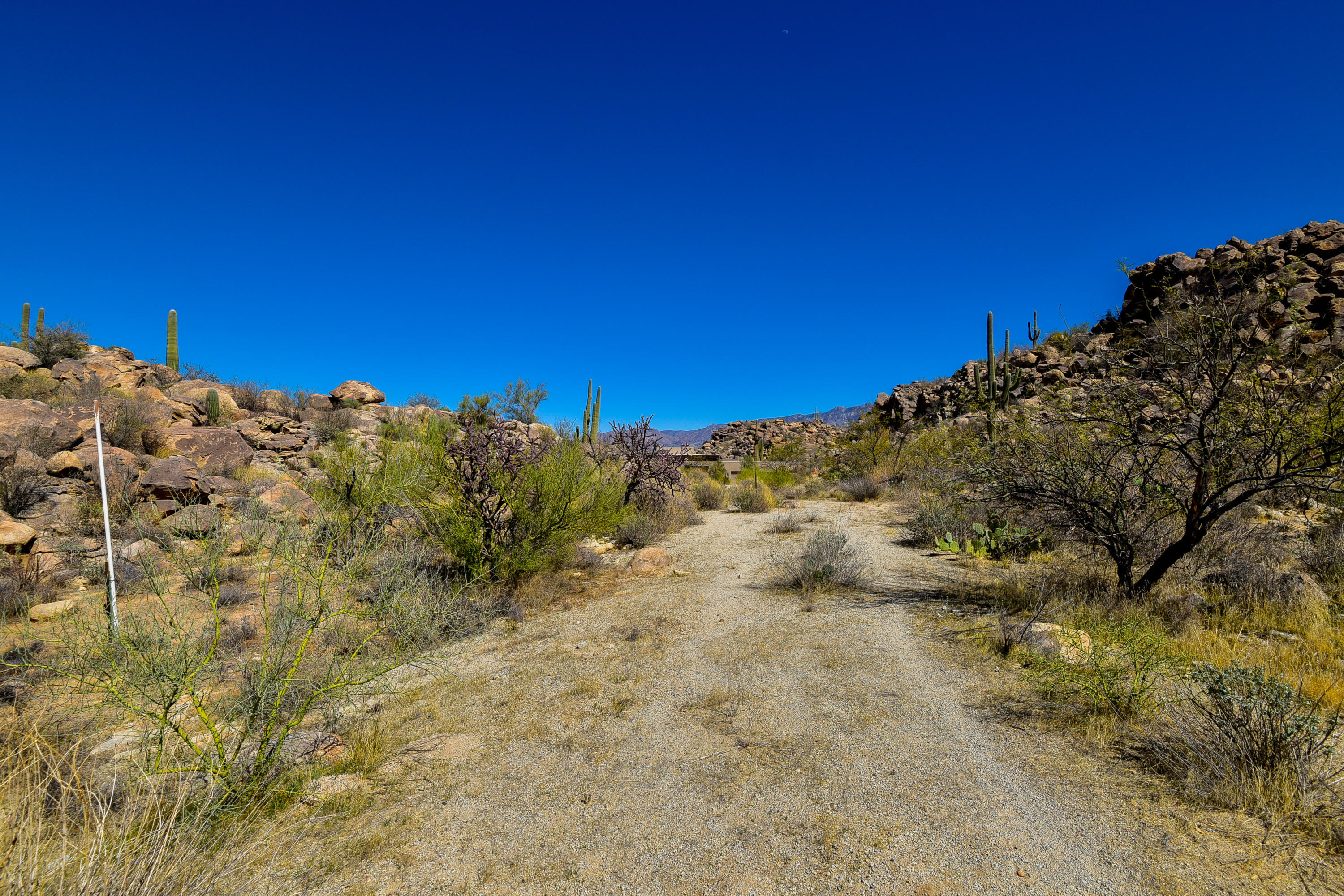 Stone Canyon IV - Land