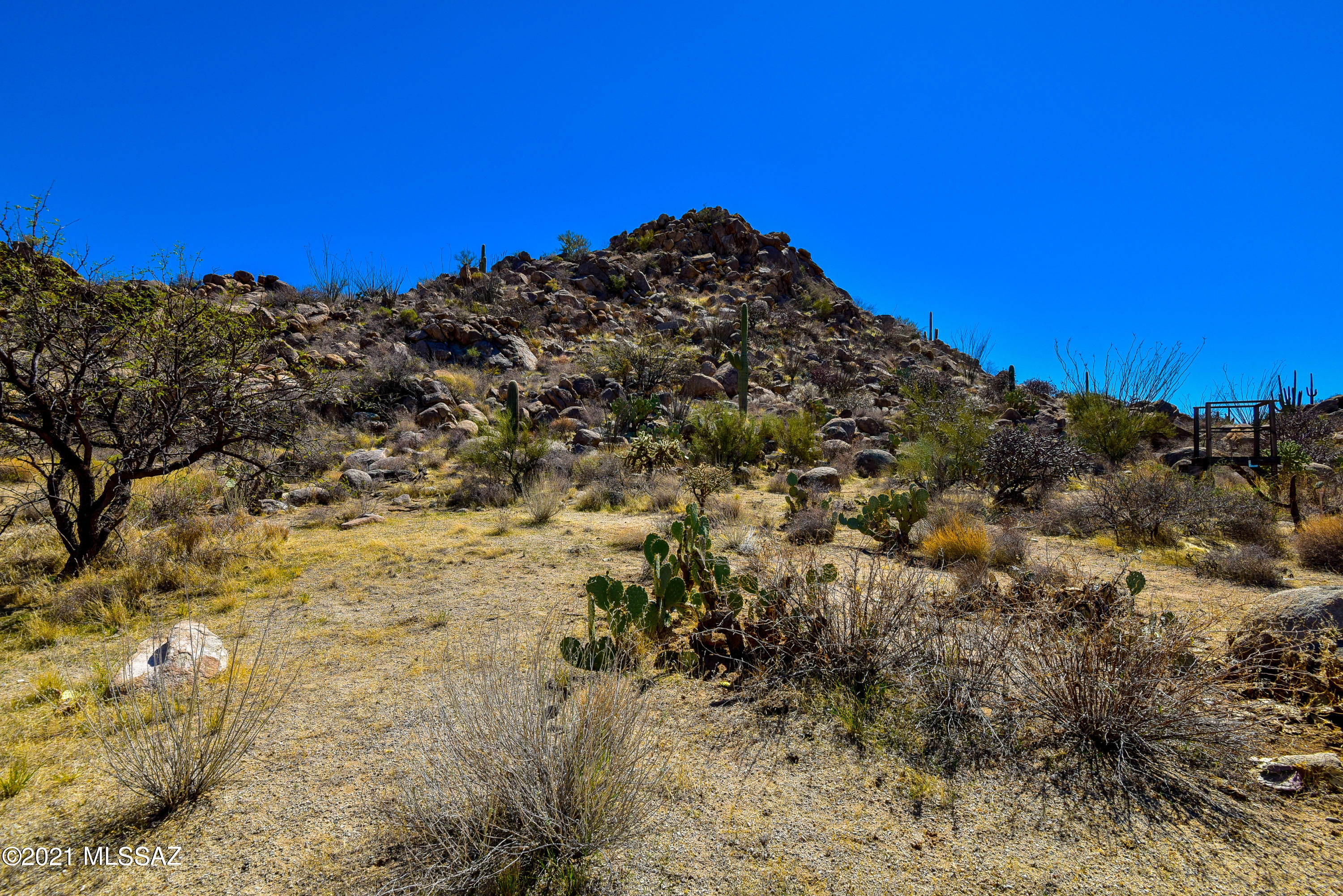 Stone Canyon IV - Land