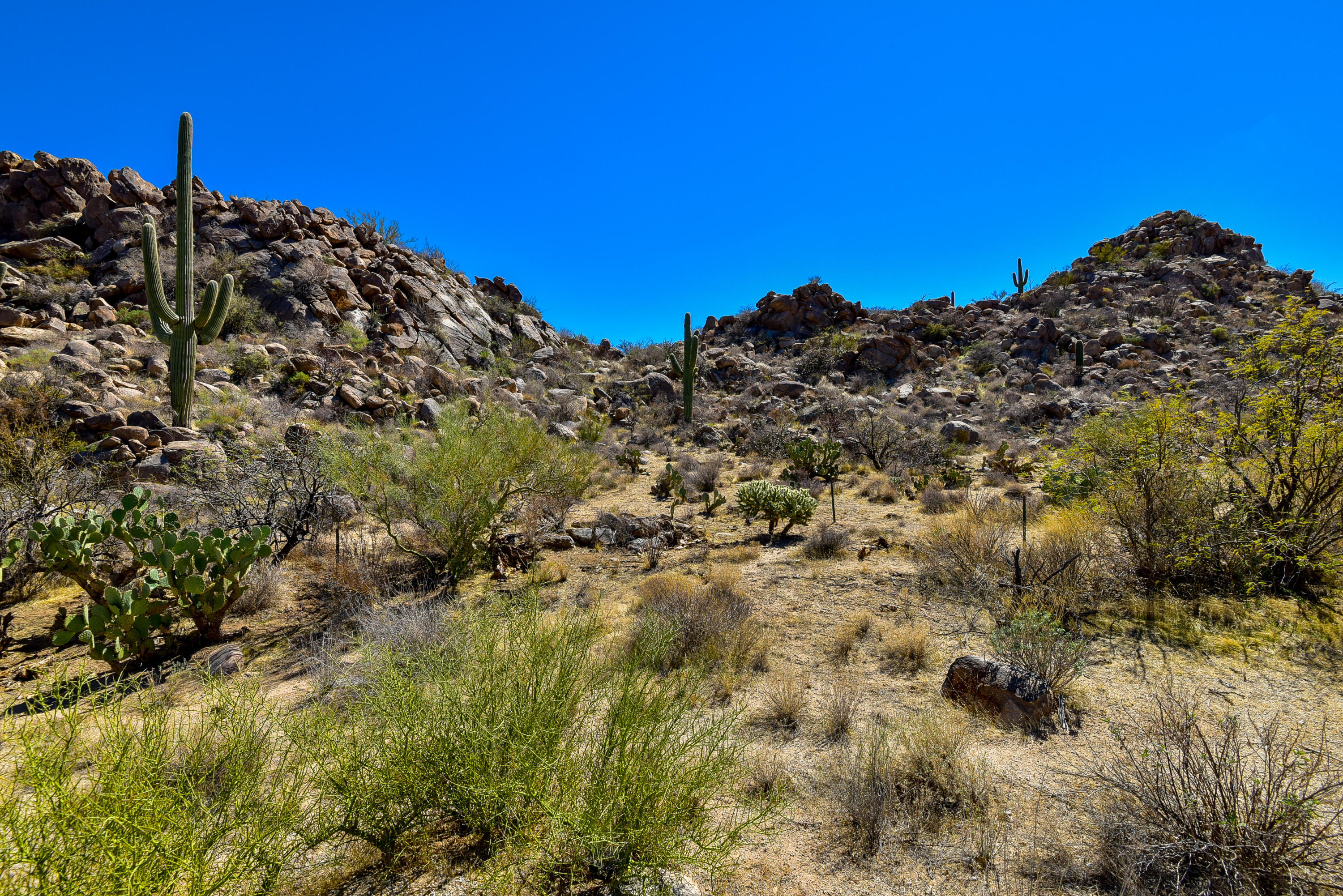 Stone Canyon IV - Land