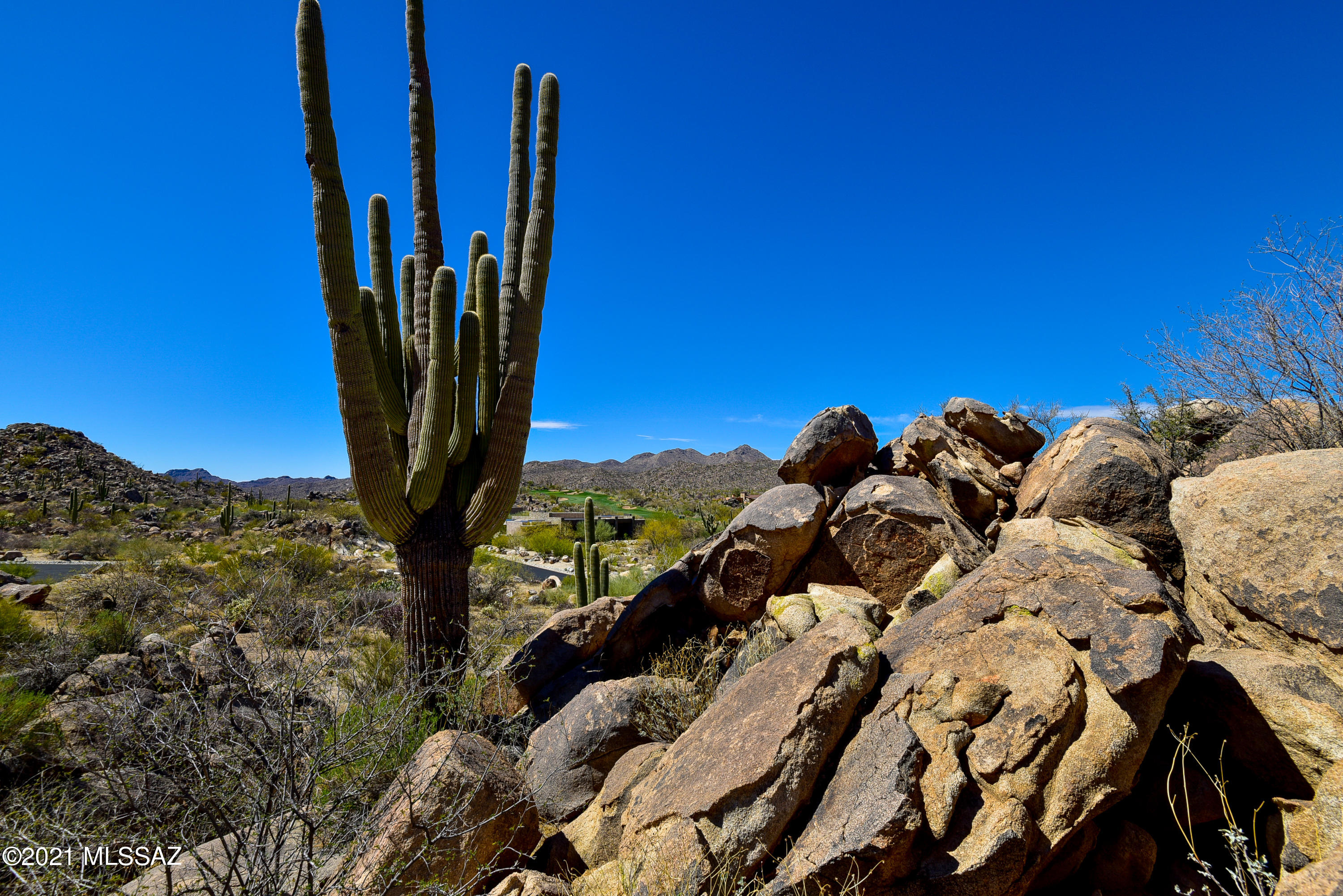 Stone Canyon IV - Land