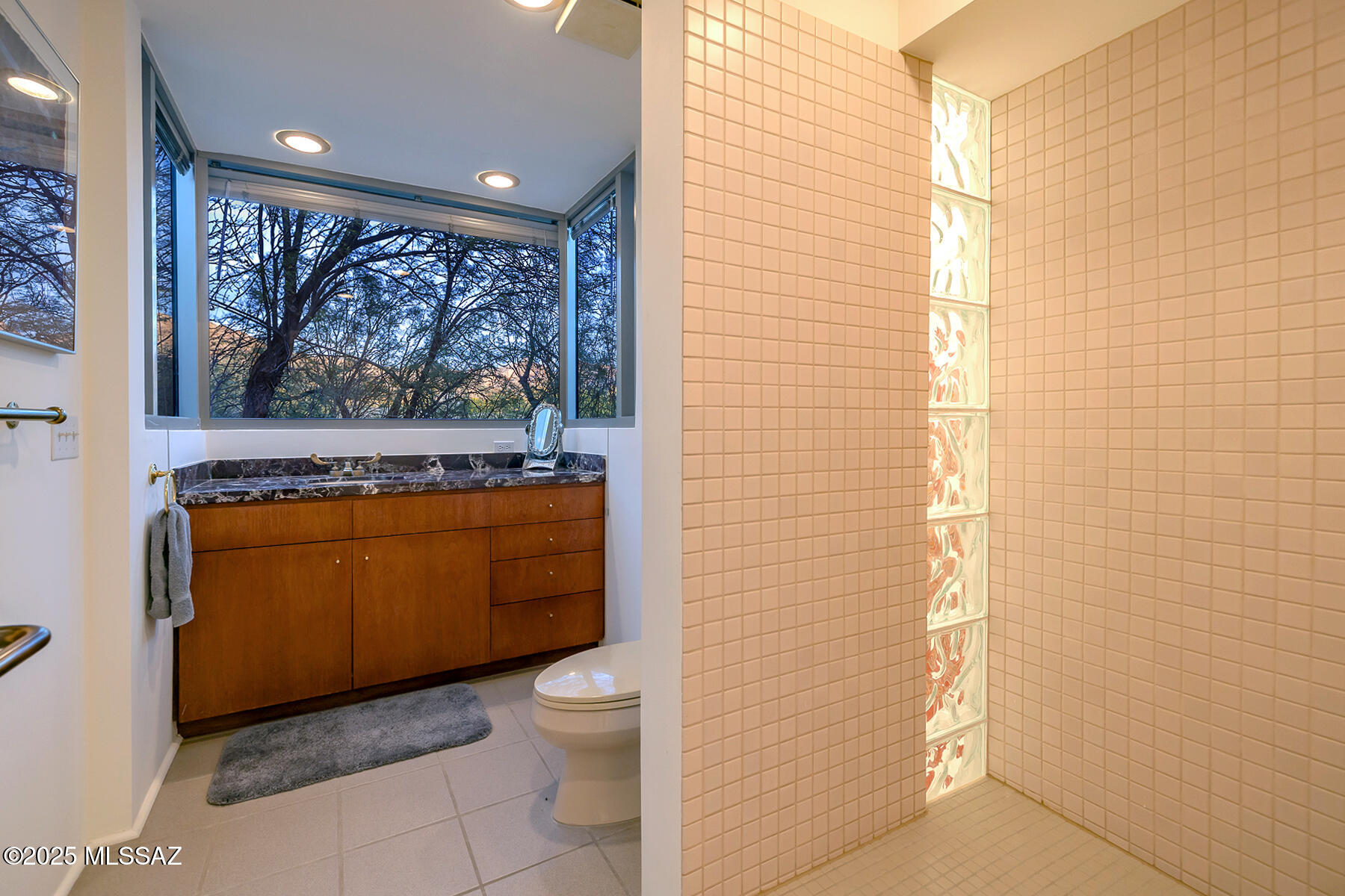 Ventana Canyon Estates (110-148, 179-185) - Residential