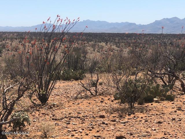 Tubac Foothills Ranch - Land
