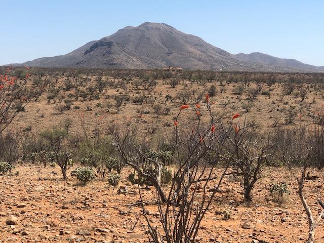 Tubac Foothills Ranch - Land