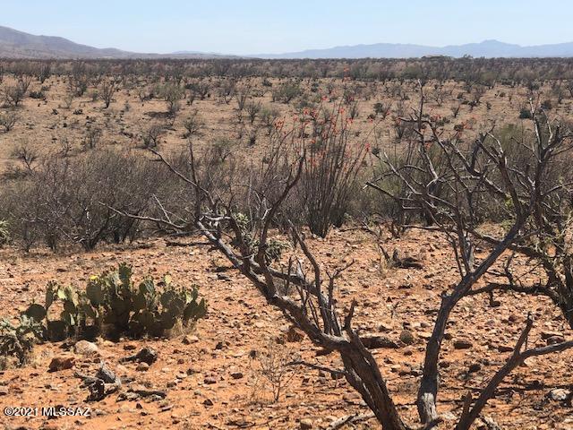 Tubac Foothills Ranch - Land