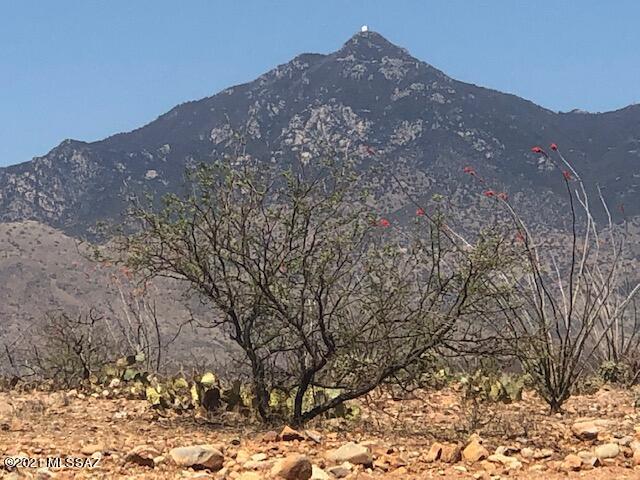 Tubac Foothills Ranch - Land