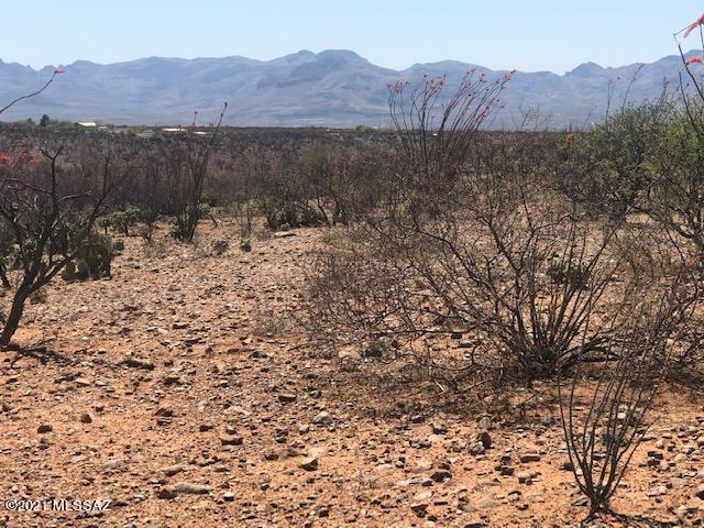Tubac Foothills Ranch - Land