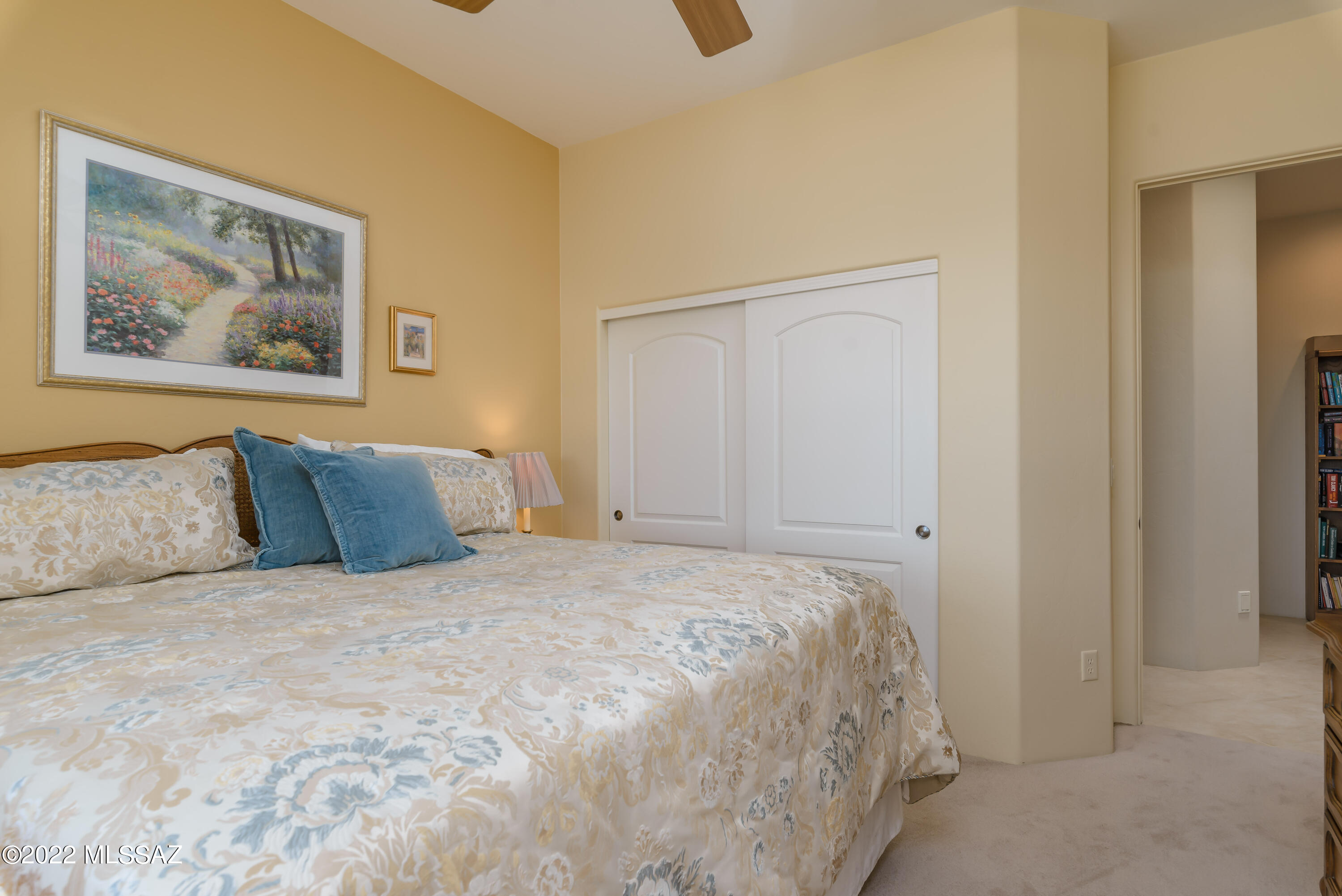 Sabino Mountain (1-290) - Residential