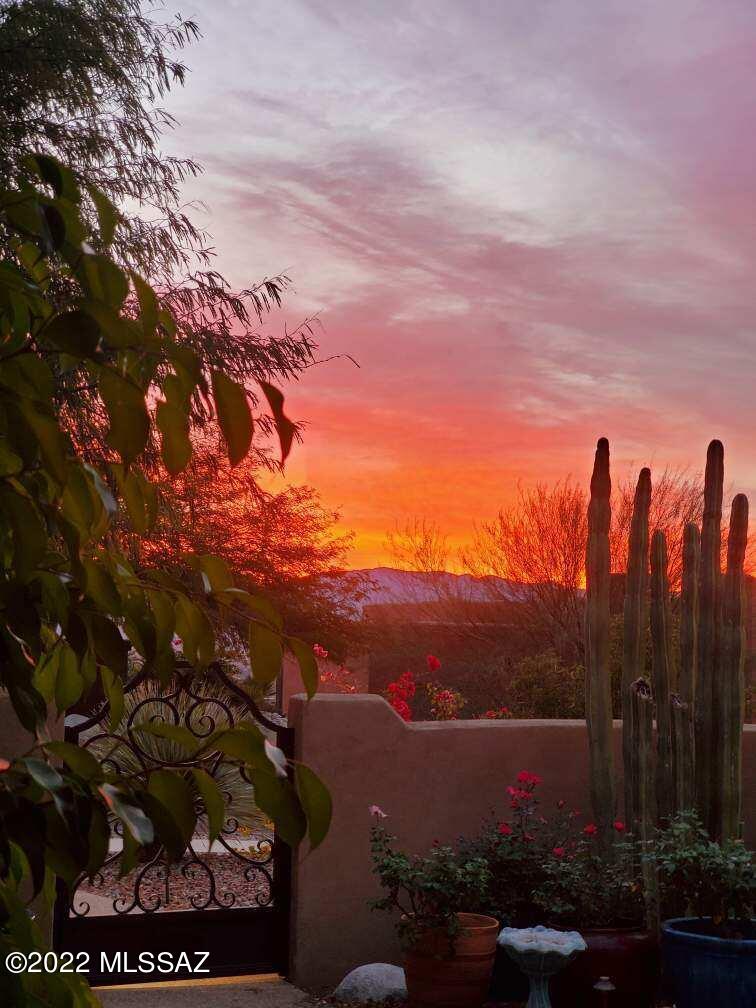 Sabino Mountain (1-290) - Residential