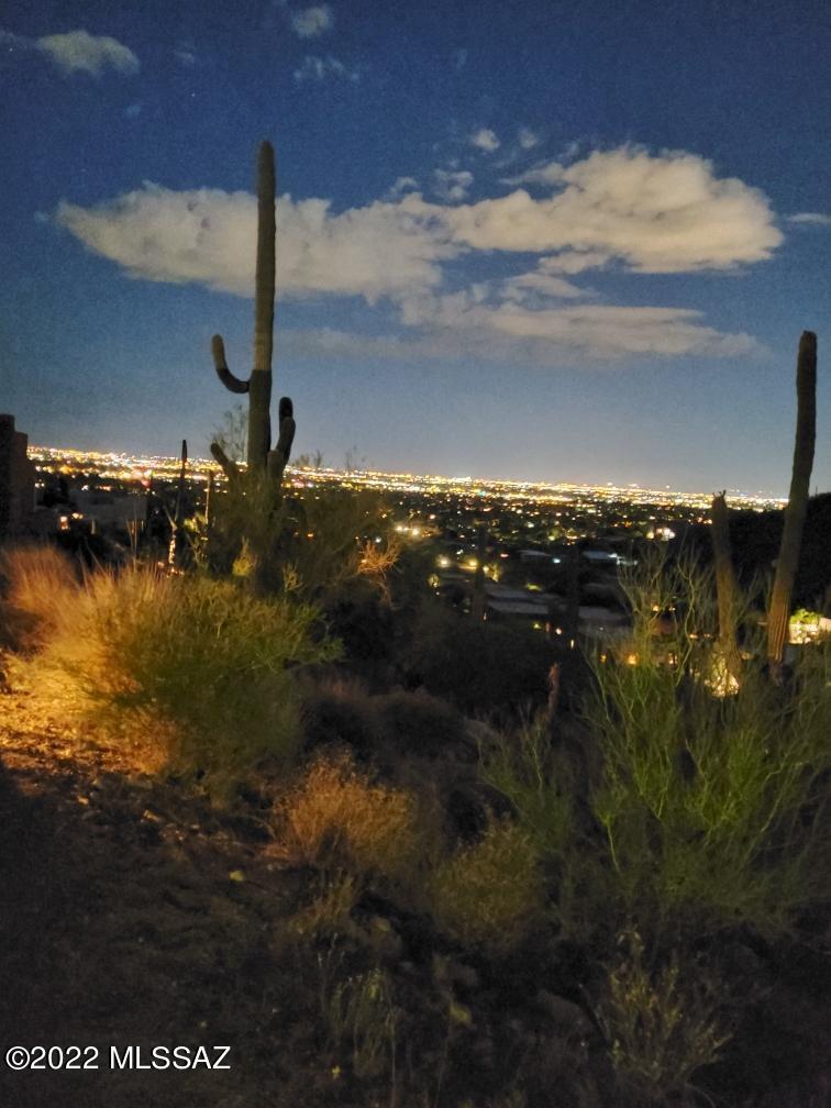 Sabino Mountain (1-290) - Residential