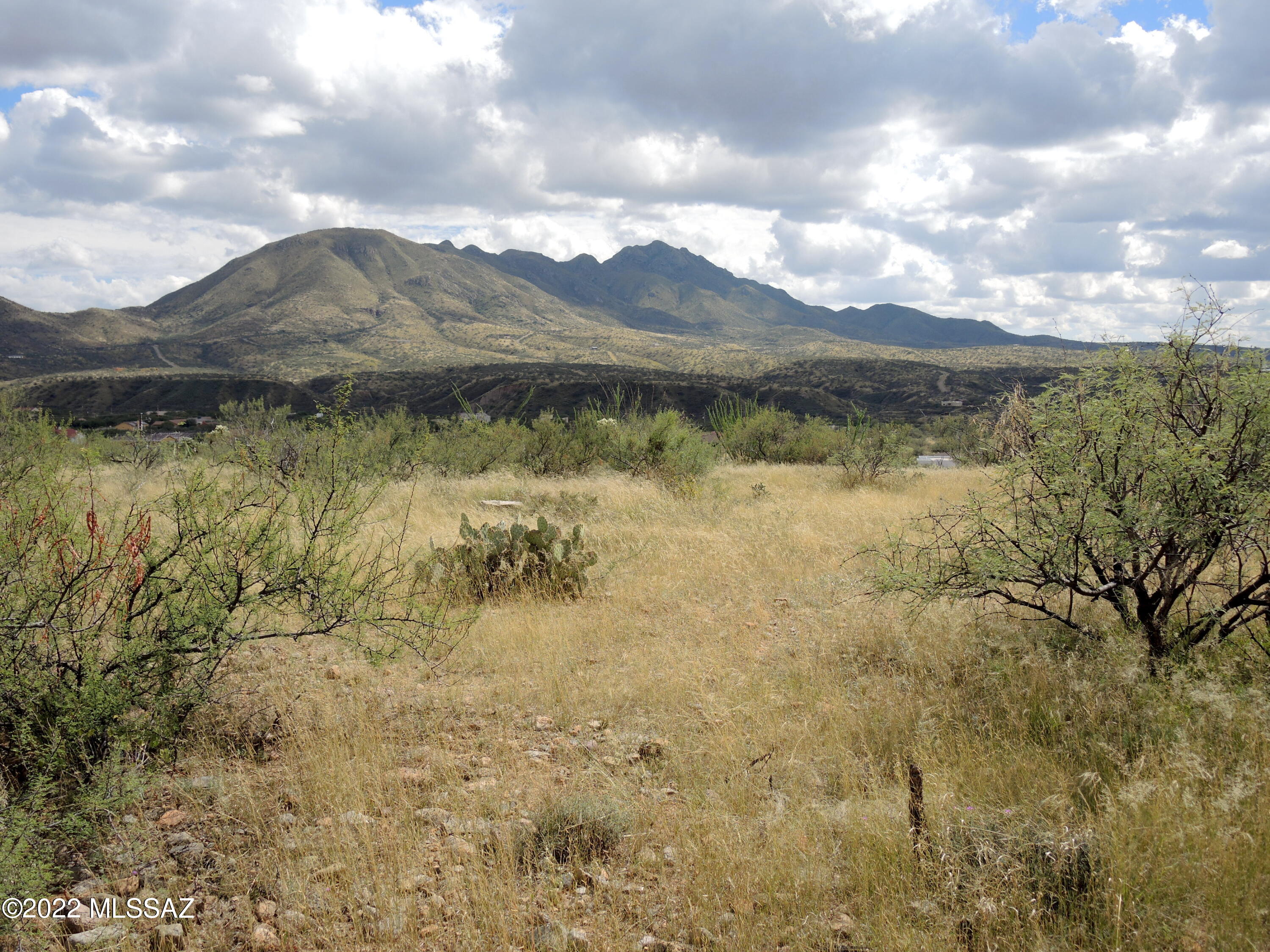 Rio Rico Villas 12 - Land